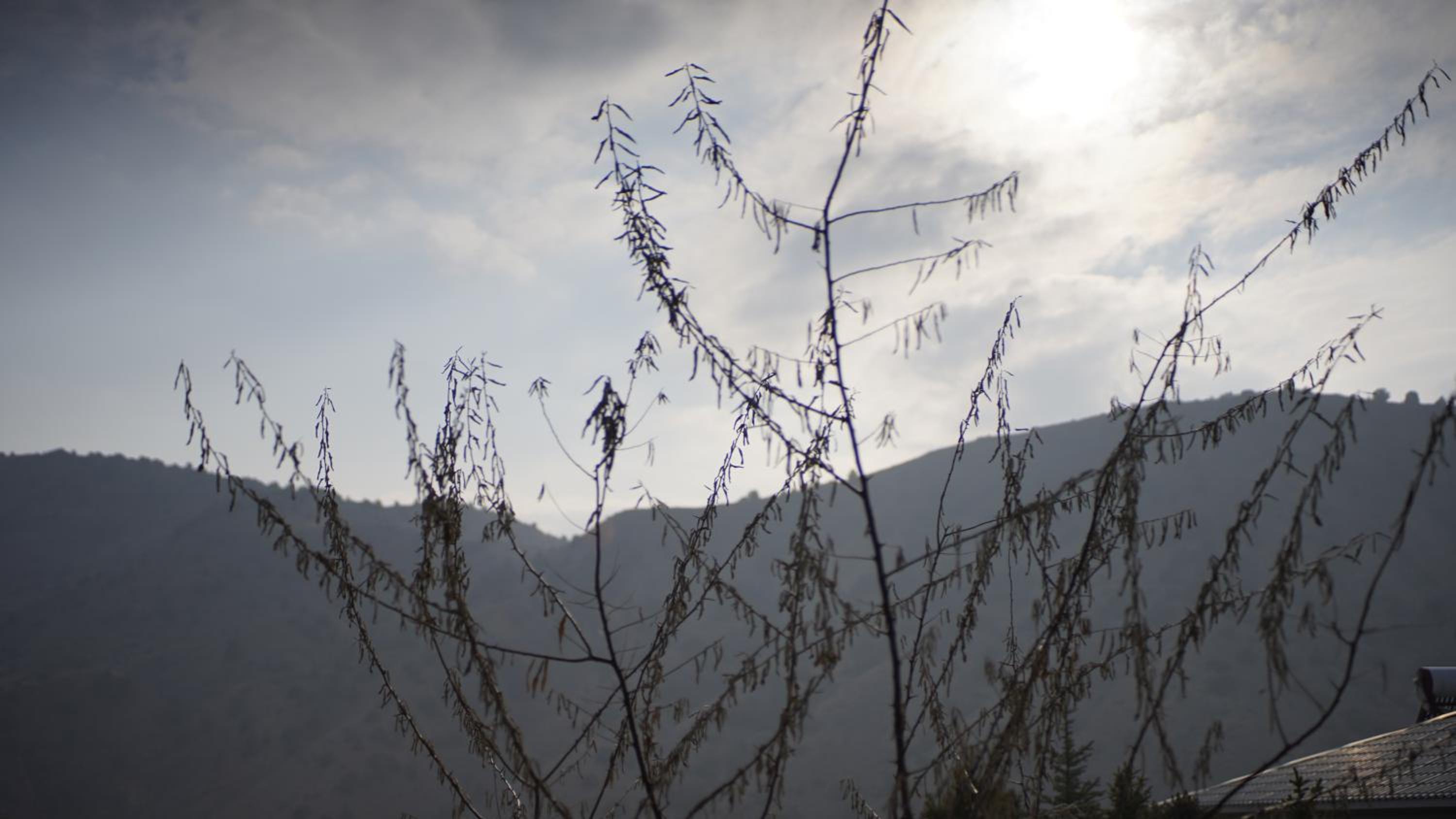 Enchanting Haven in Caucasus Wildlife Refuge
