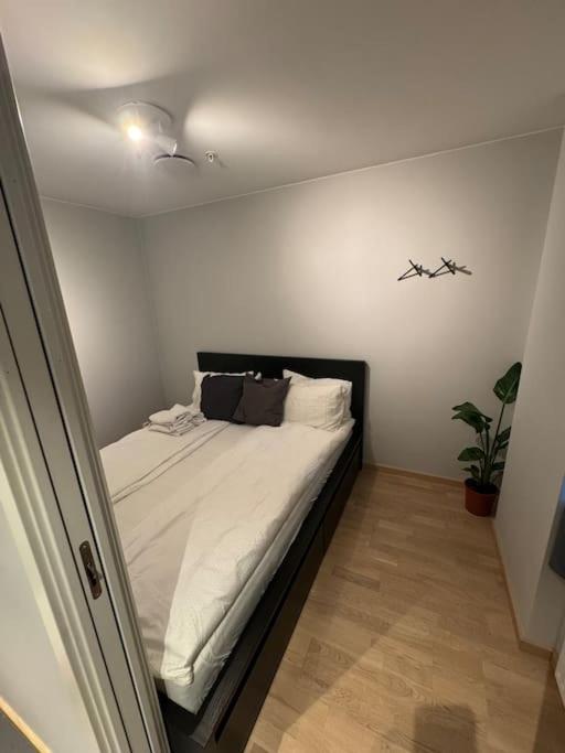 Amazing apartment by Opera house view 3