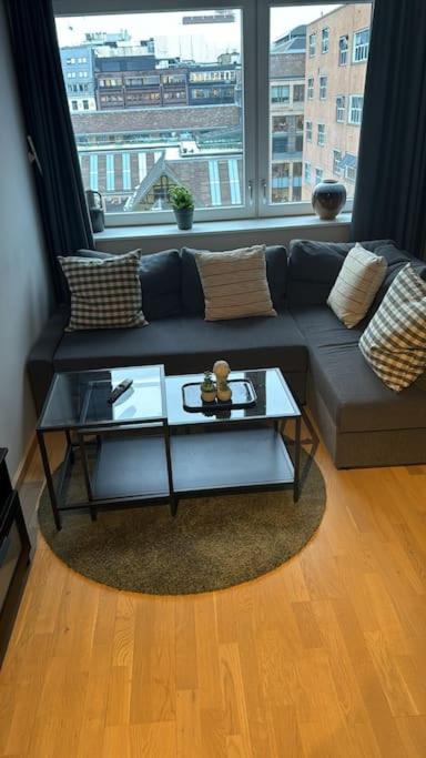 Amazing apartment by Opera house view 5