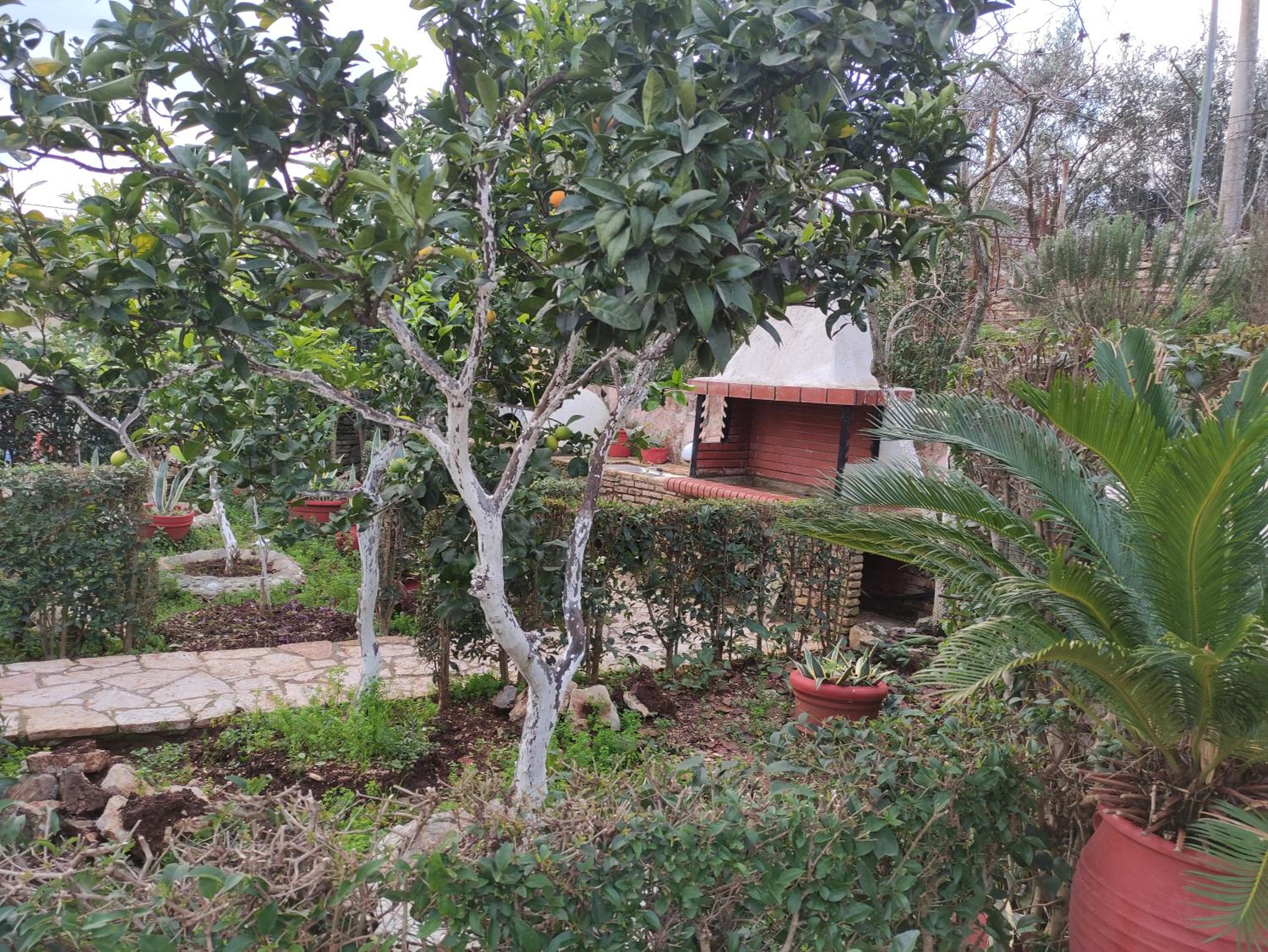 Villa Mitsi Sarande