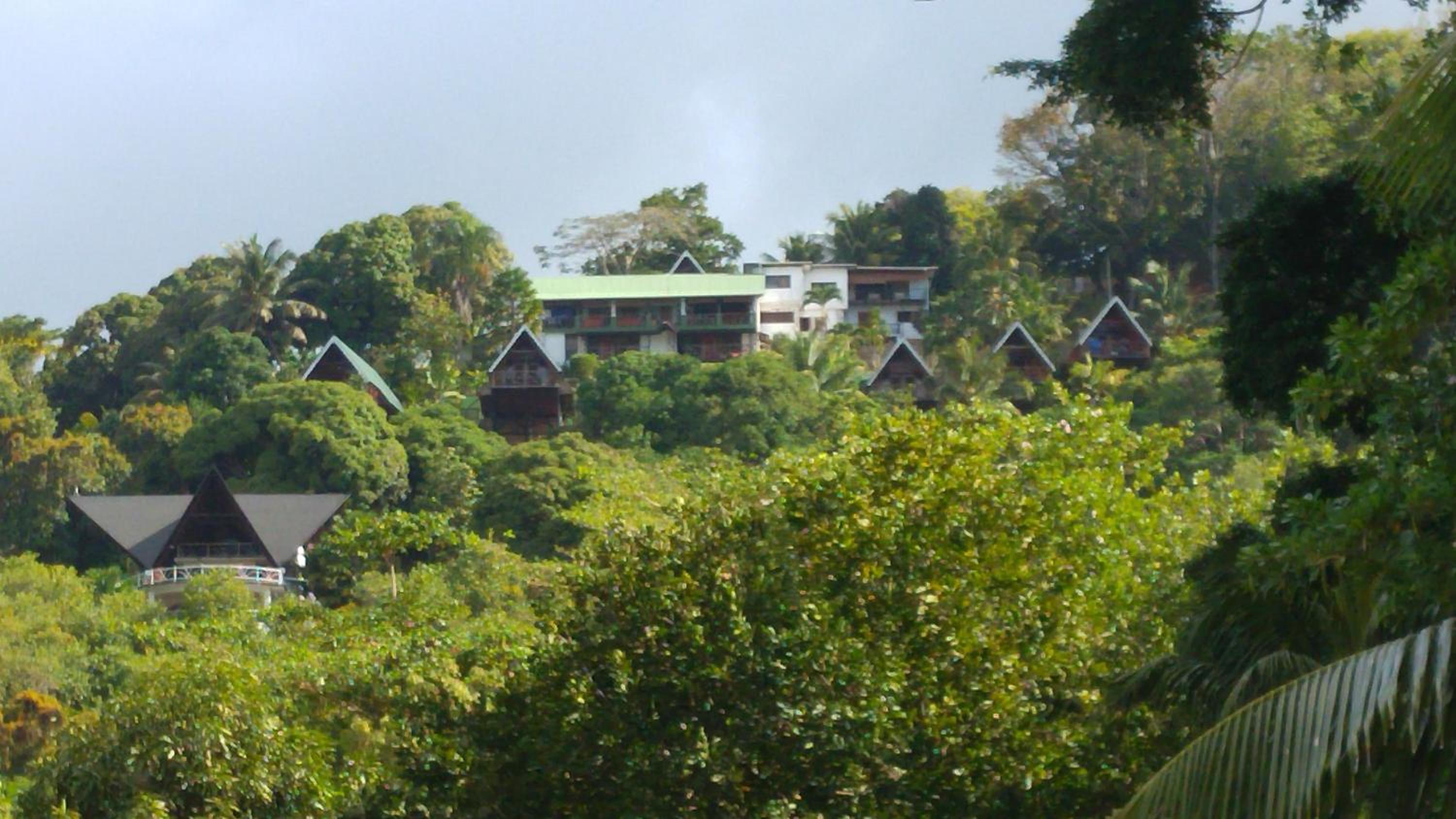 Mango Lodge, photo 25