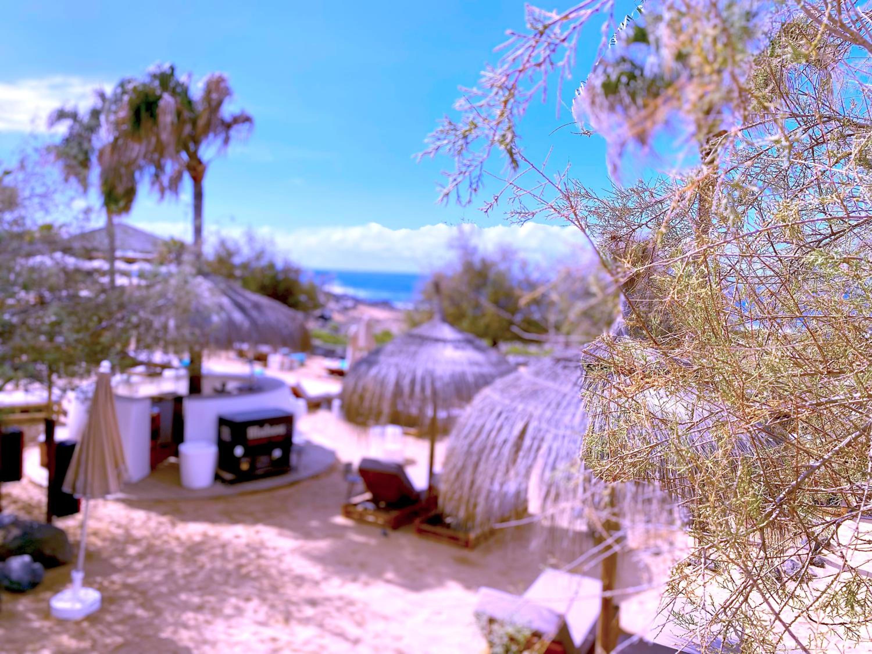 Tropicalidays Las Olas
