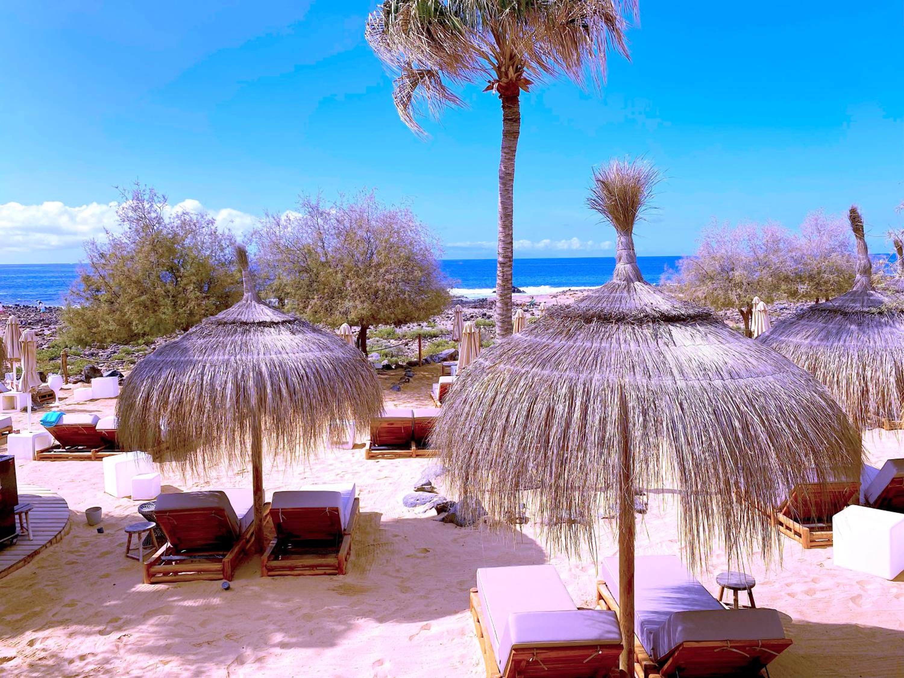 Tropicalidays Las Olas