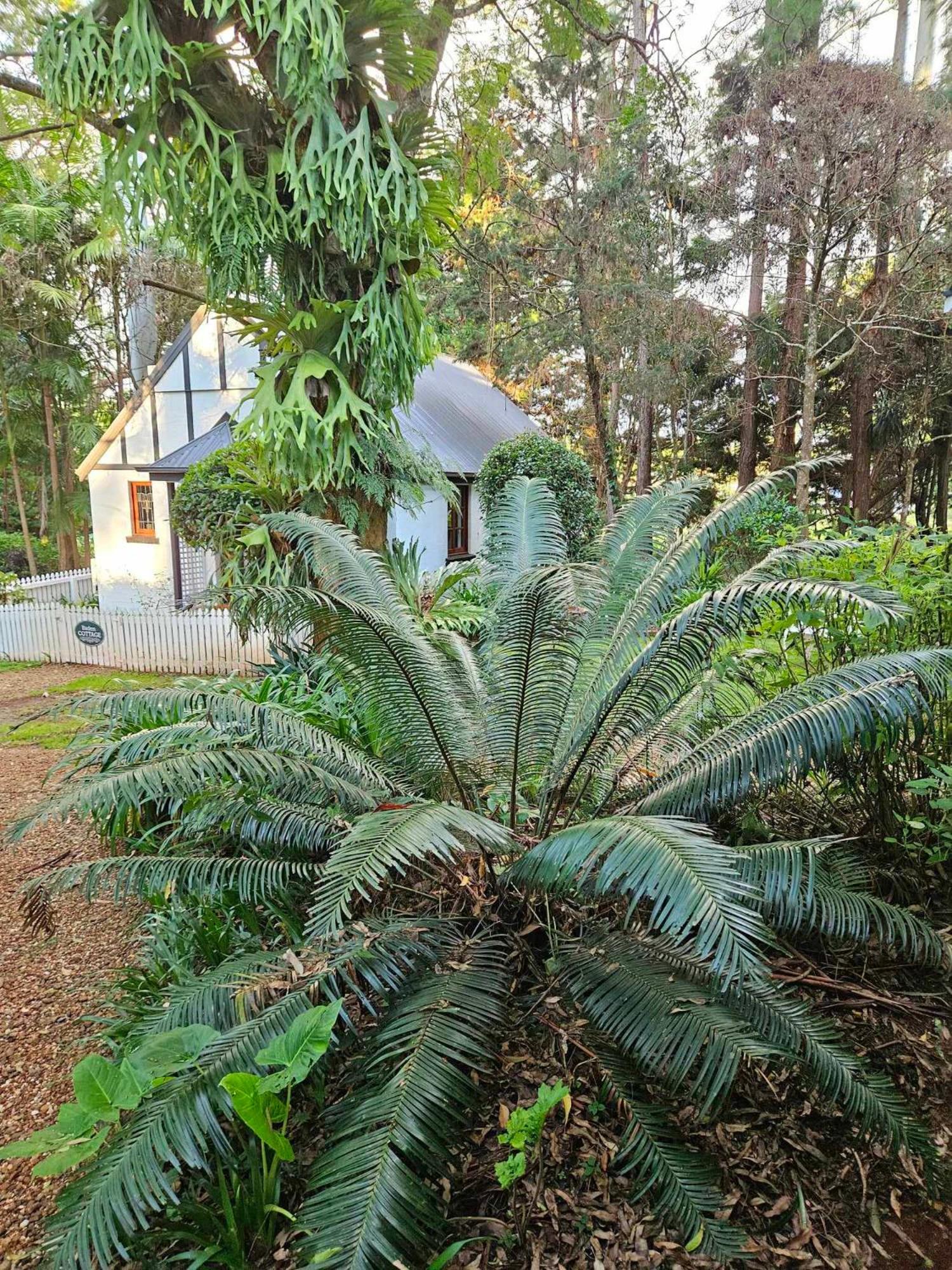 The Gamekeepers Spa Cottage in Tamborine Mountain