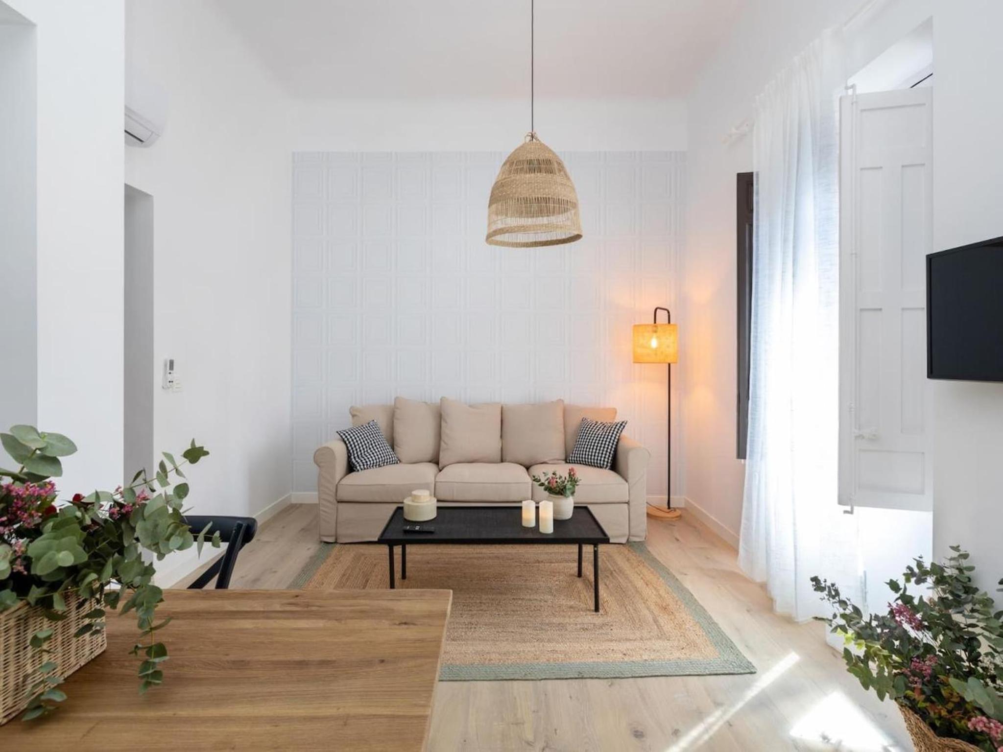 Bright and Elegant Gran Via apartments
