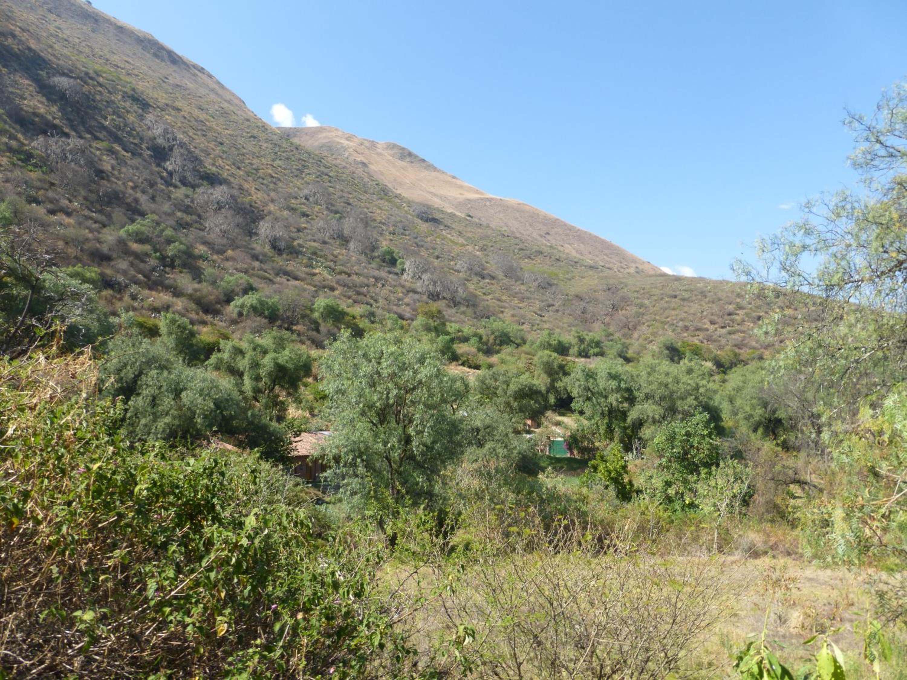 Photo 29