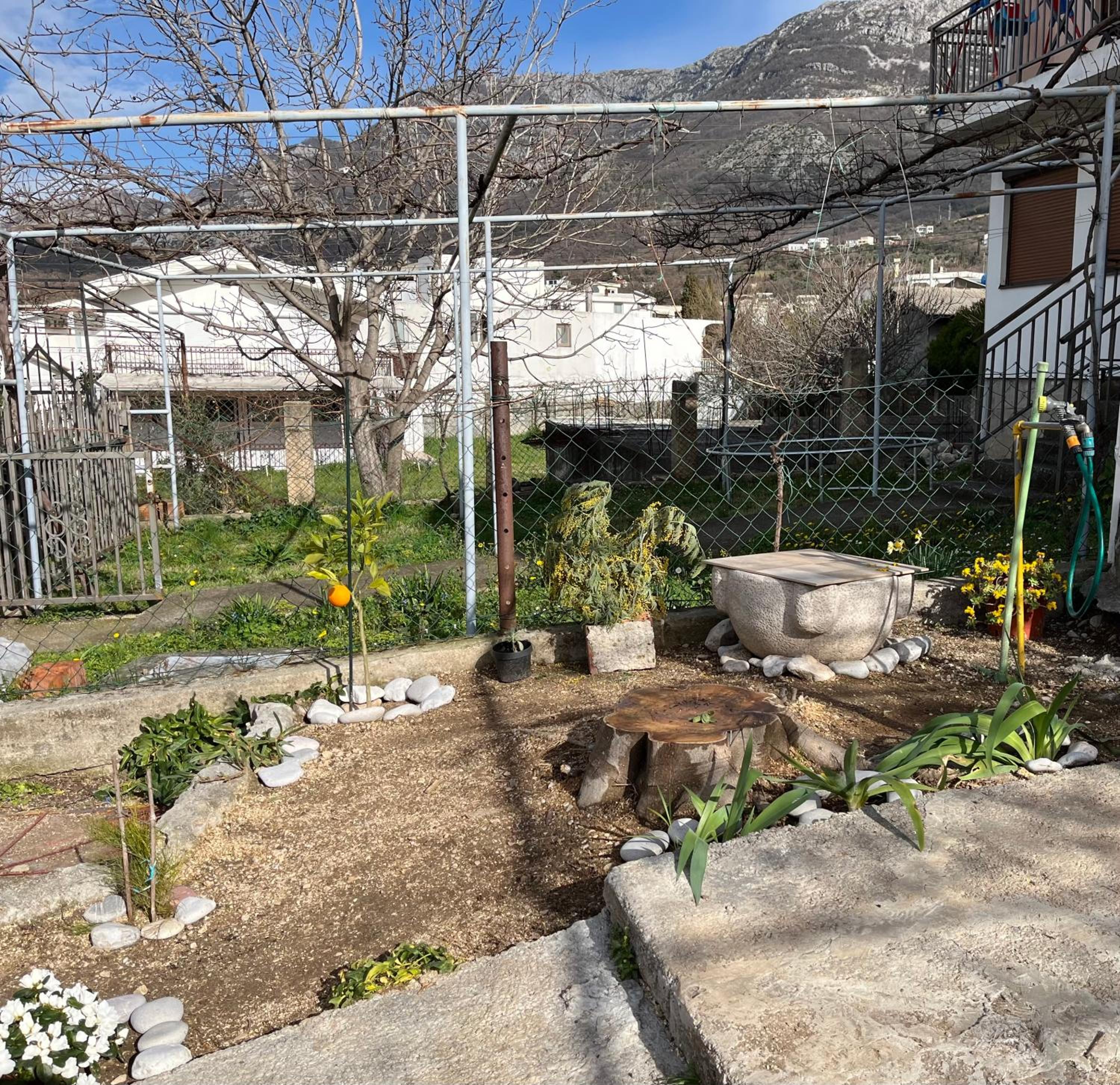 Photo 16
