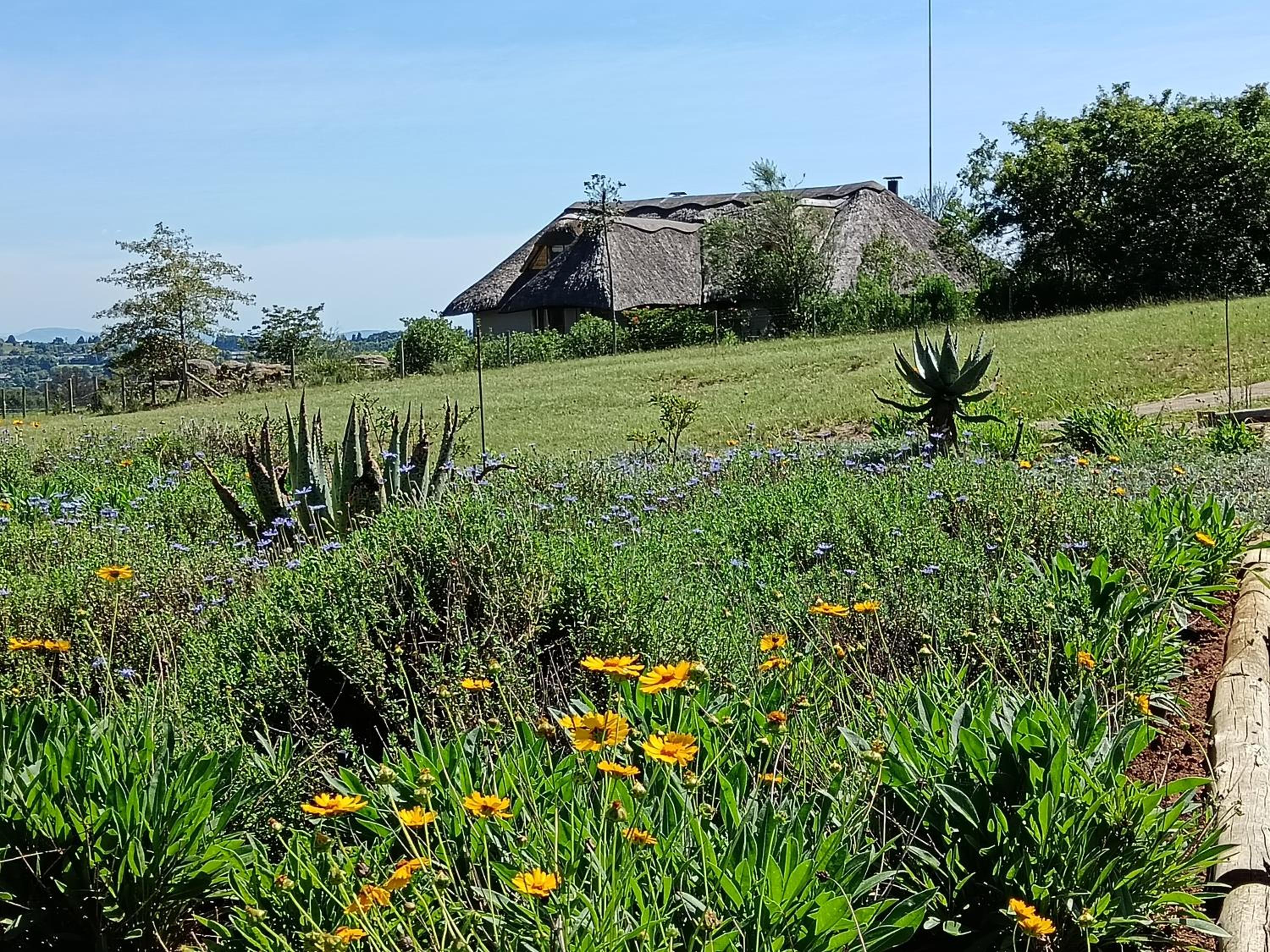 Inkungu Homestead