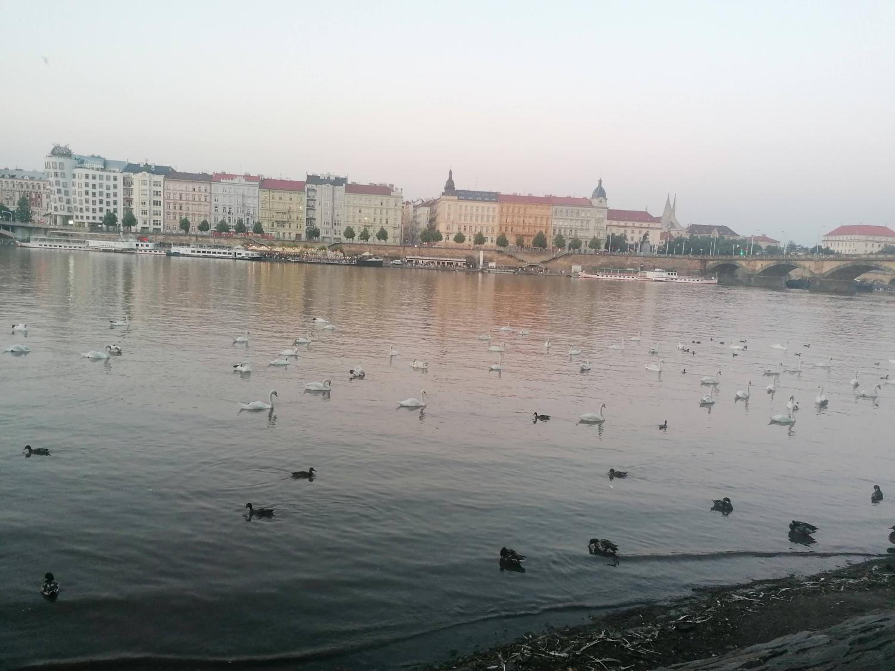 Valentinka Minutes away from Charles Bridge