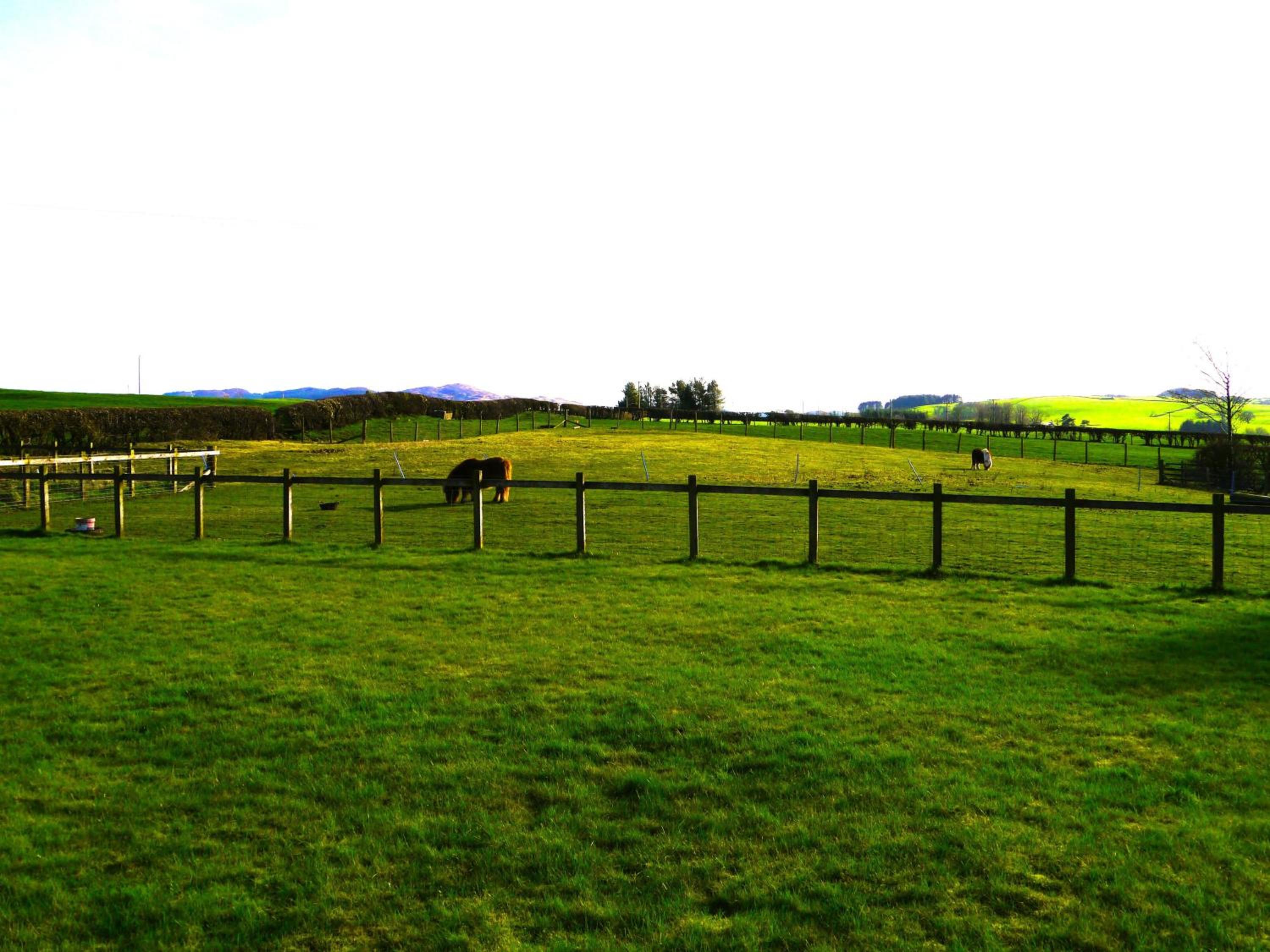 The Longhouse