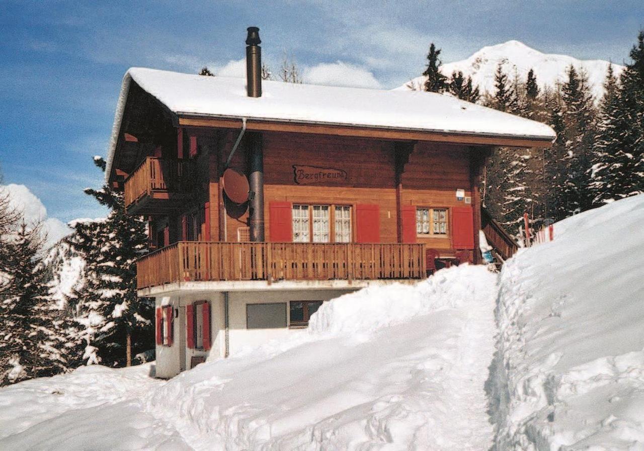 Ferienhaus Bergfreund