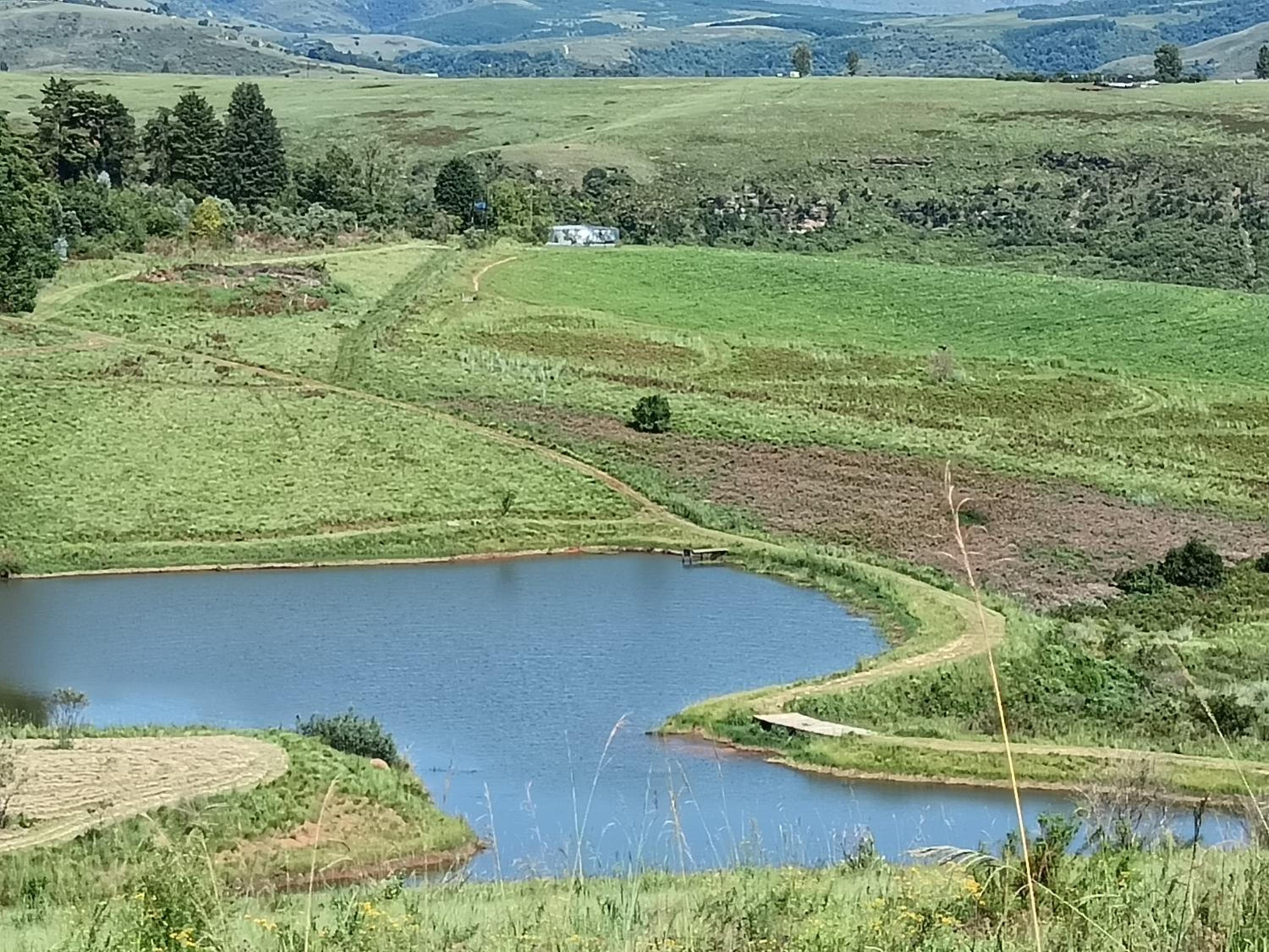 Inkungu Homestead
