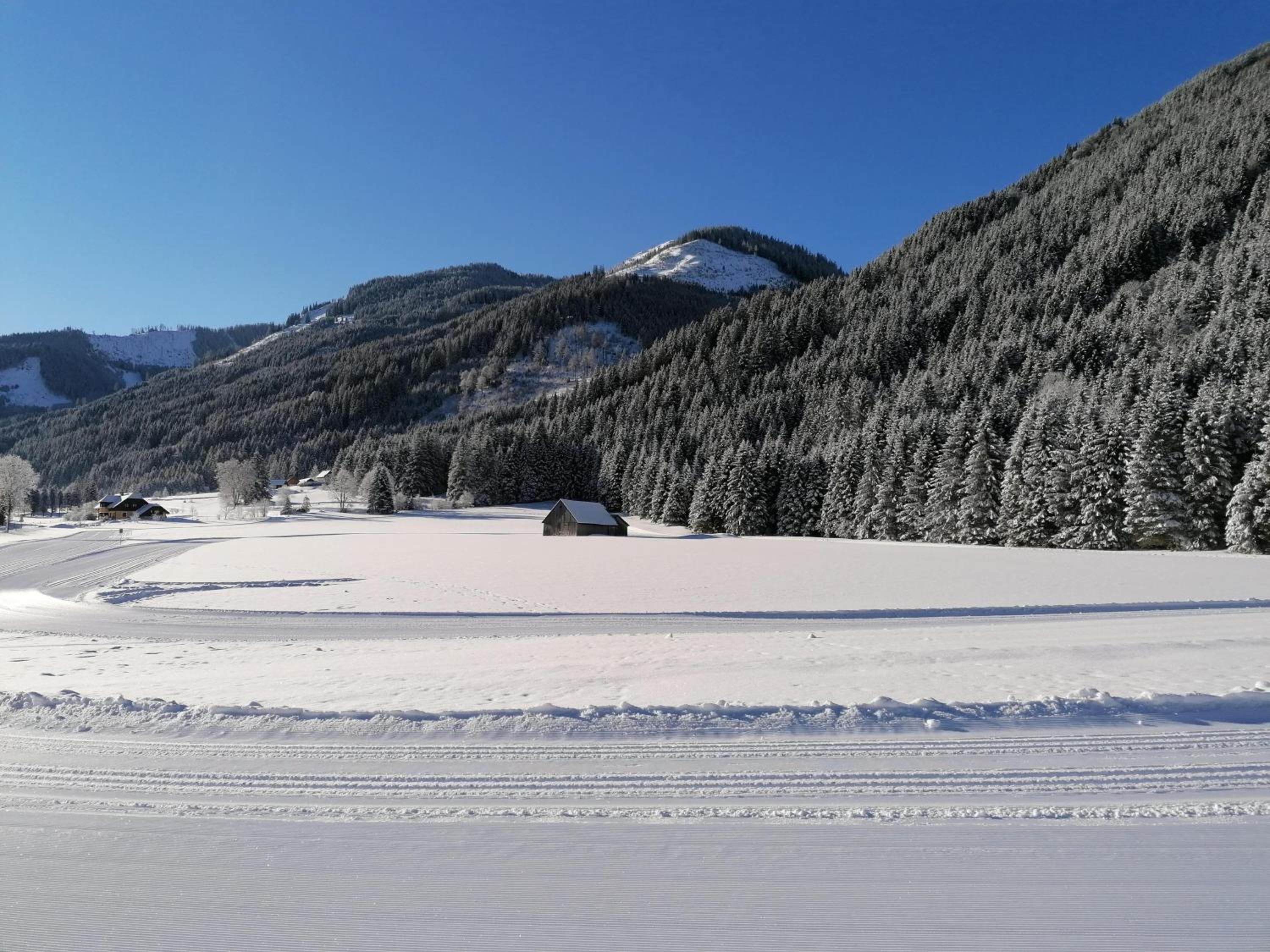 Leitnerbauer's Troadkasten