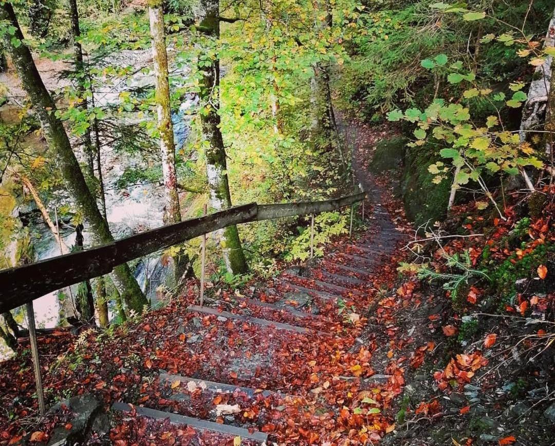 Leitnerbauer's Troadkasten