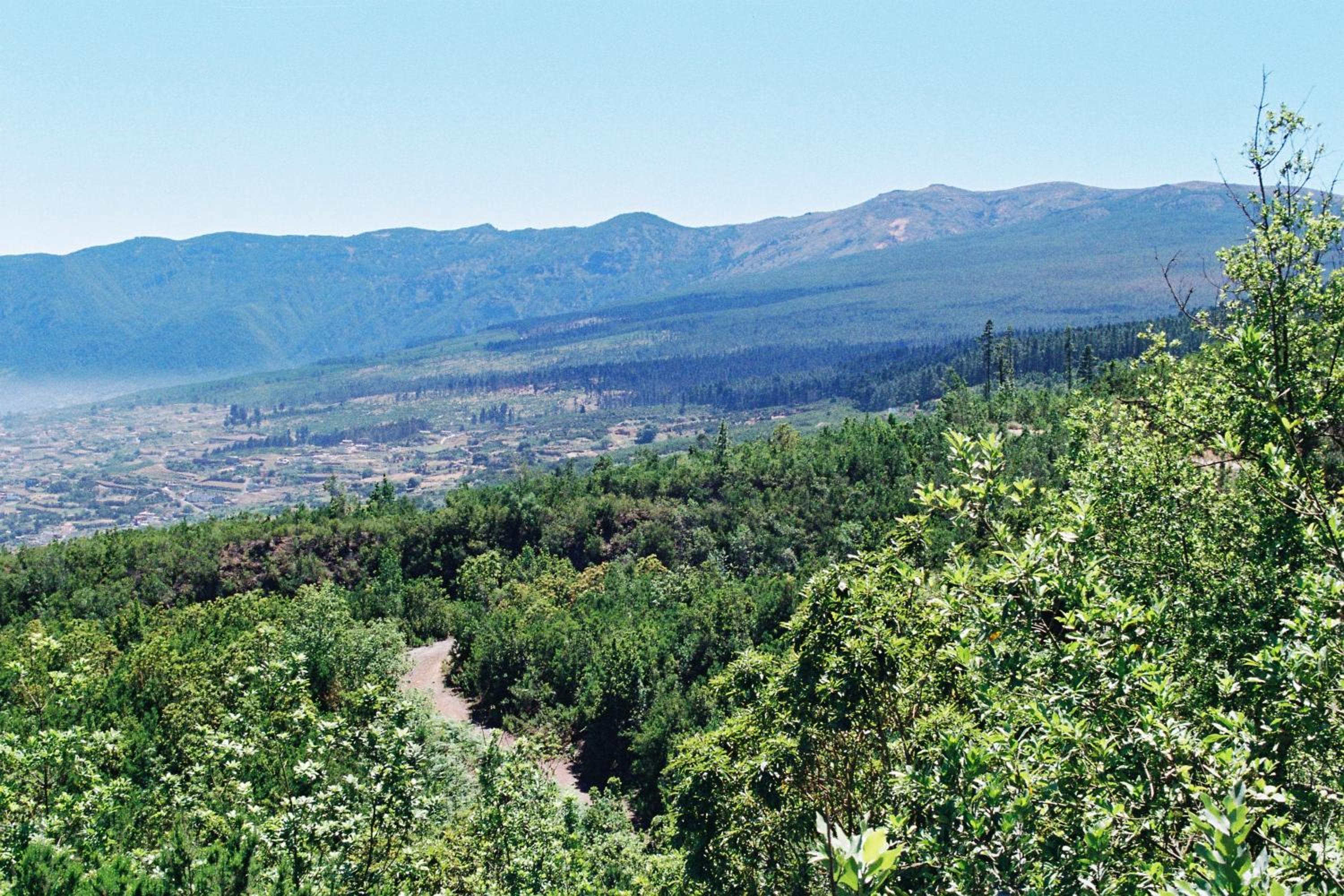 Rural Las Llanadas