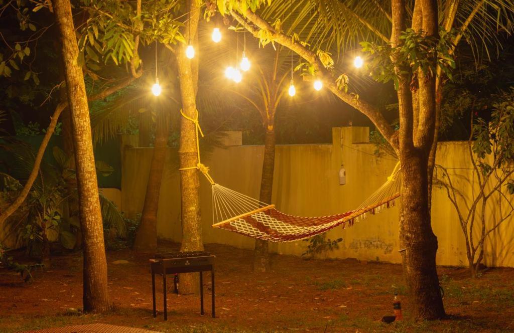 Fool's Paradise Homestay view 2