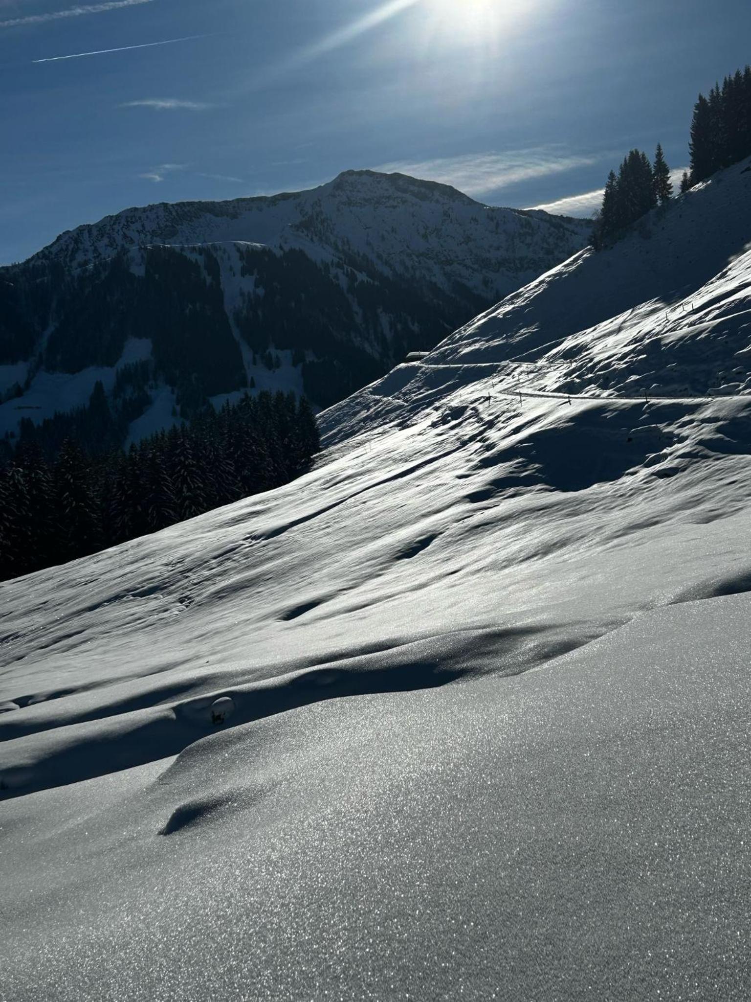MountApart Ski in - Ski out