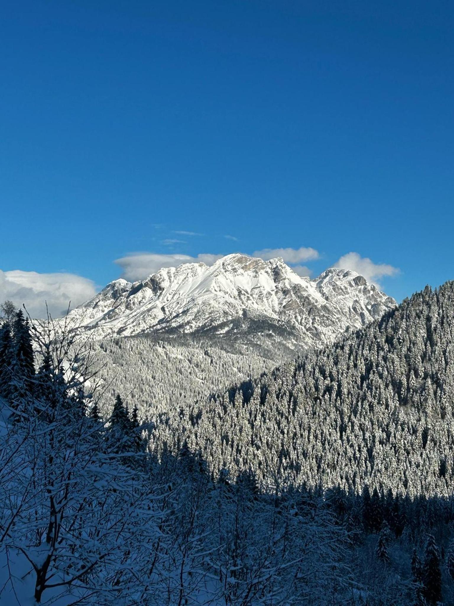 MountApart Ski in - Ski out