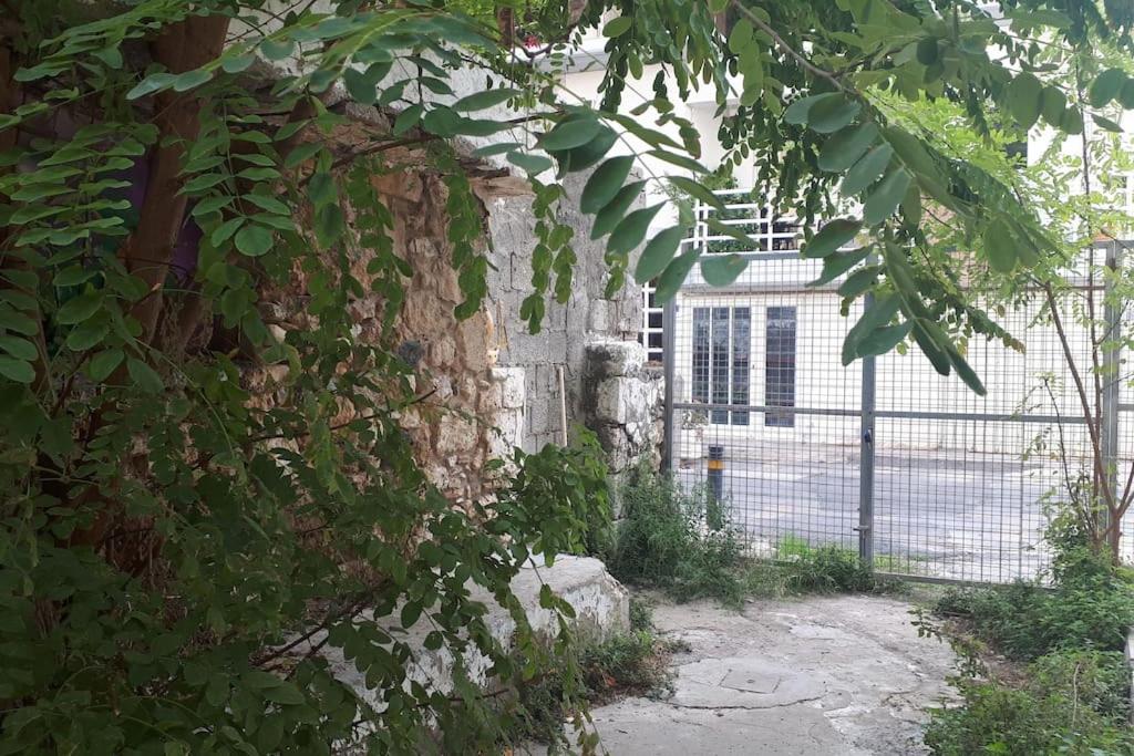 Maisonette Danai next to the sea