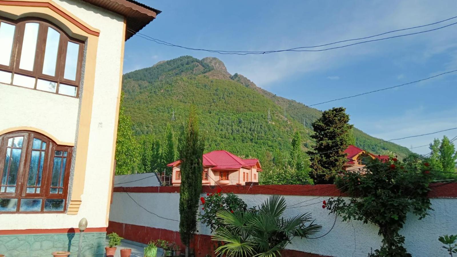 Hotel John's Palace view 2