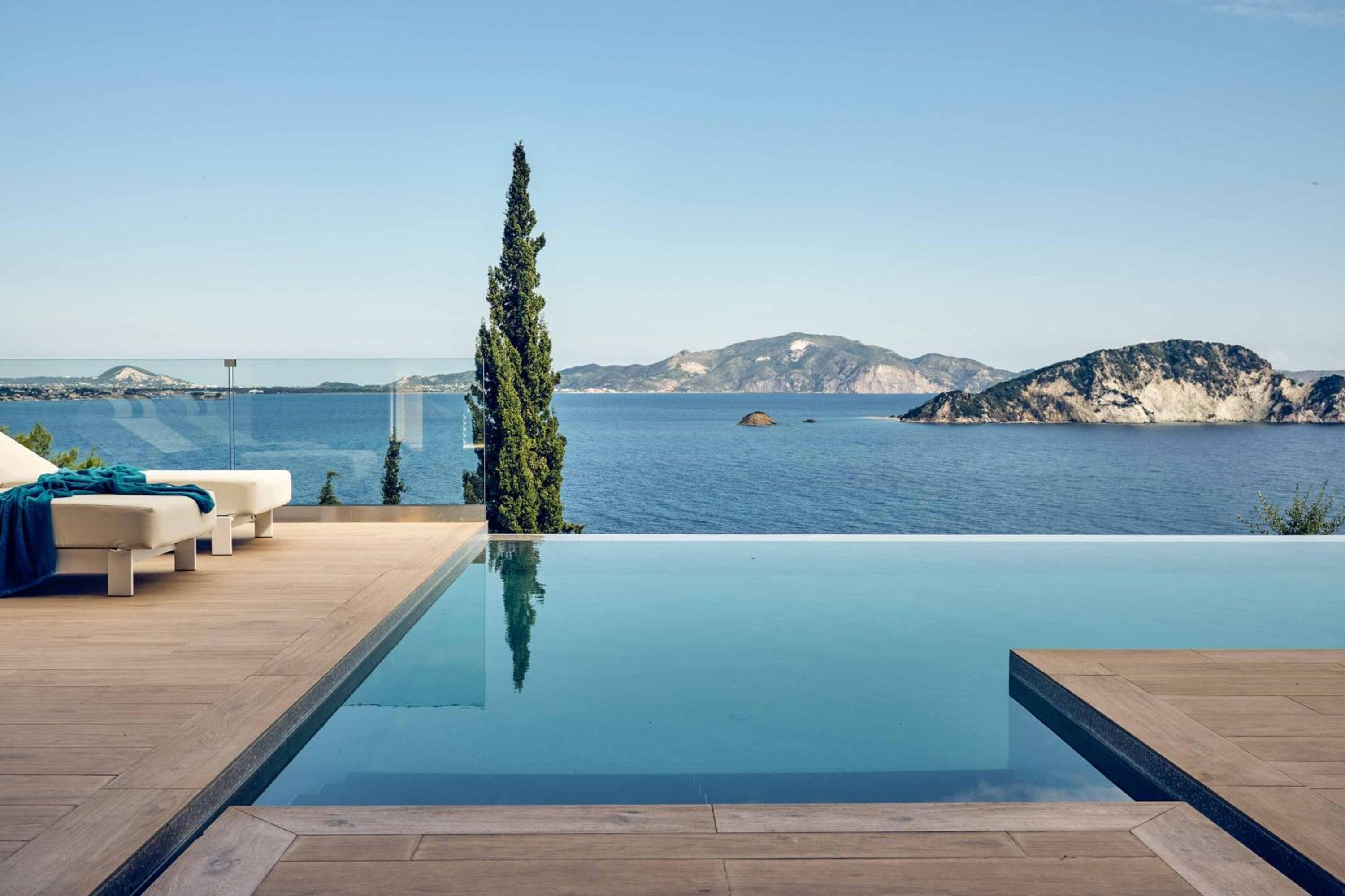 Alkyonides Plumage photo 2