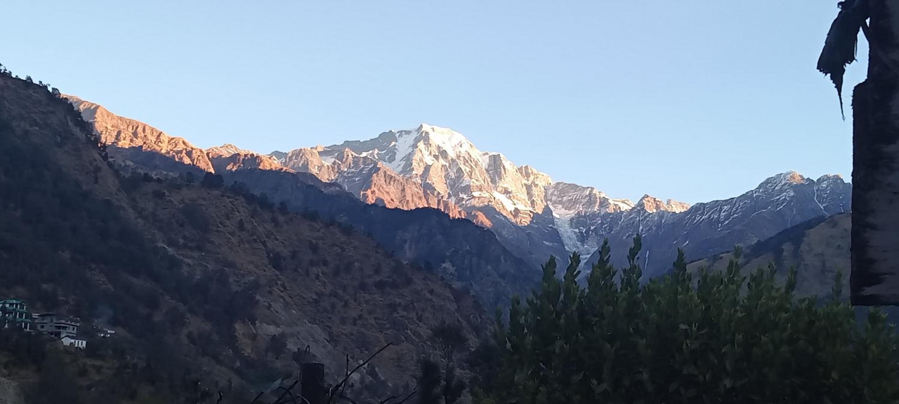 Bhupendra Home Stay