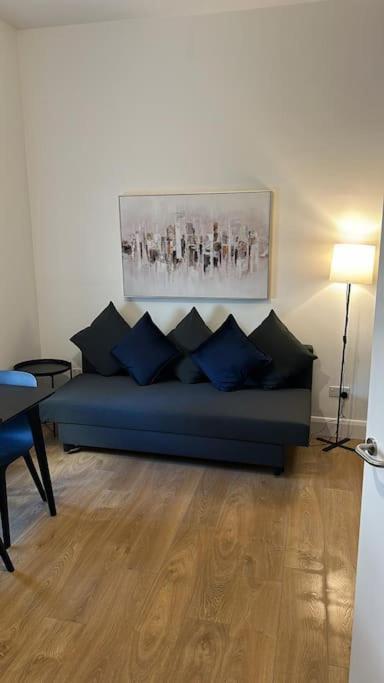Central Dublin Apartment