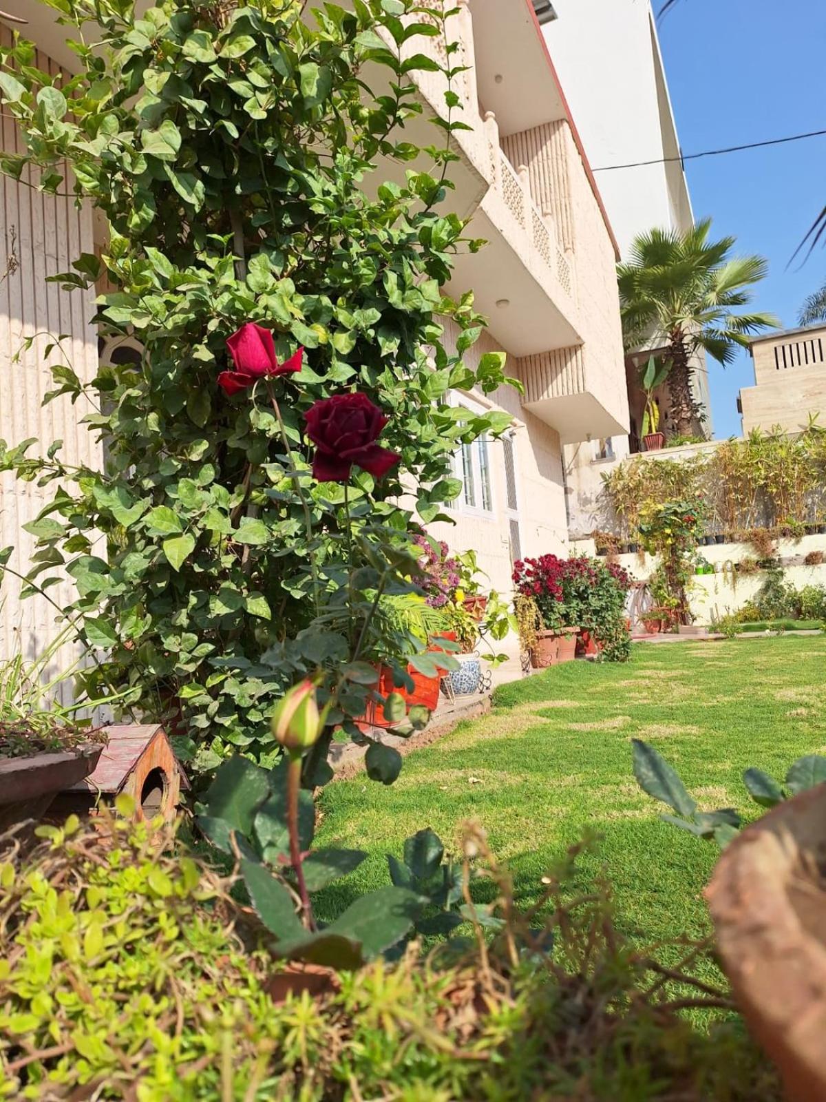 Chandranita Homestay
