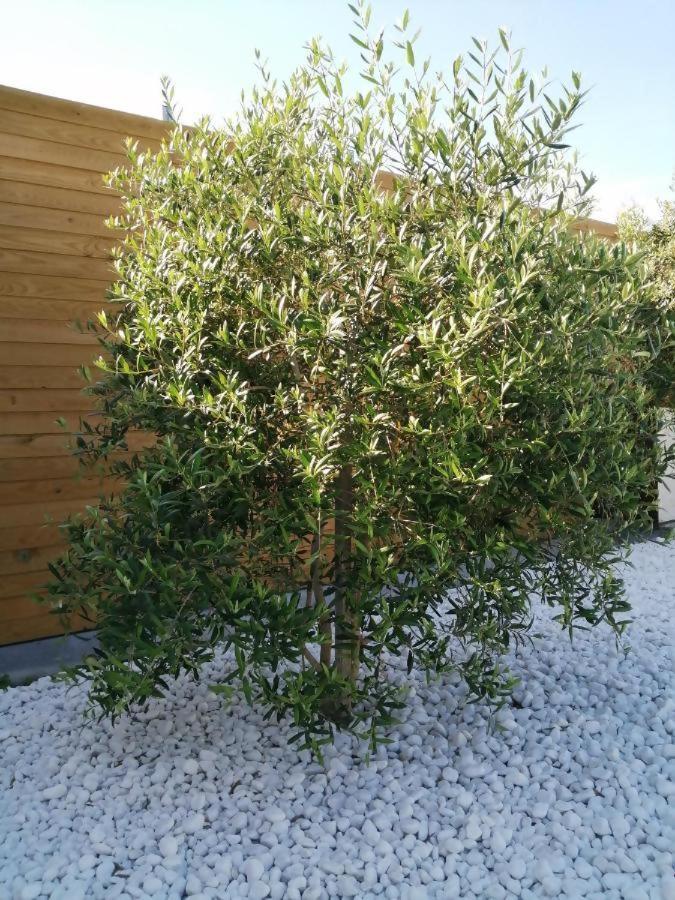 Photo 42