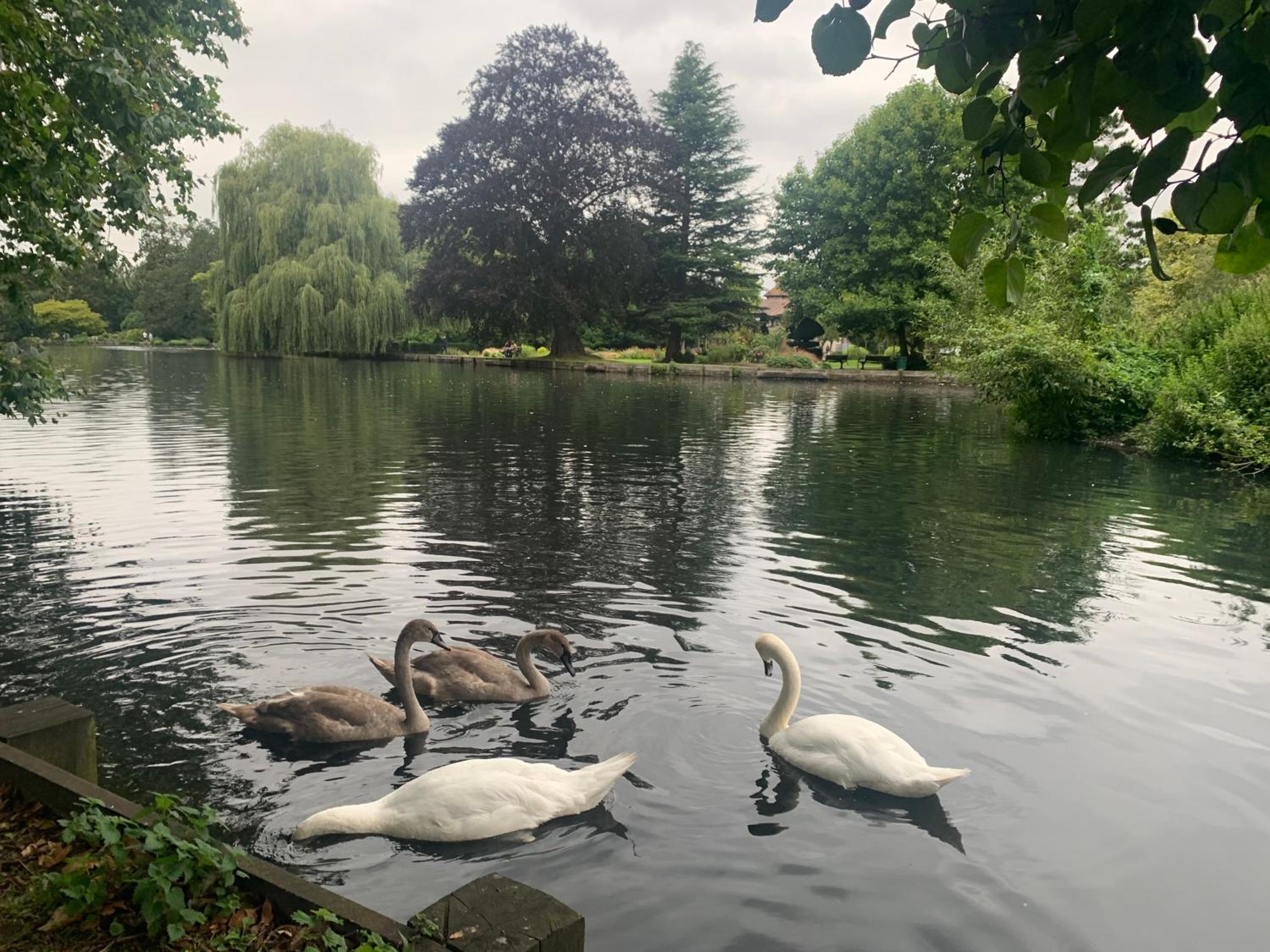 Beddington Park Lodge West