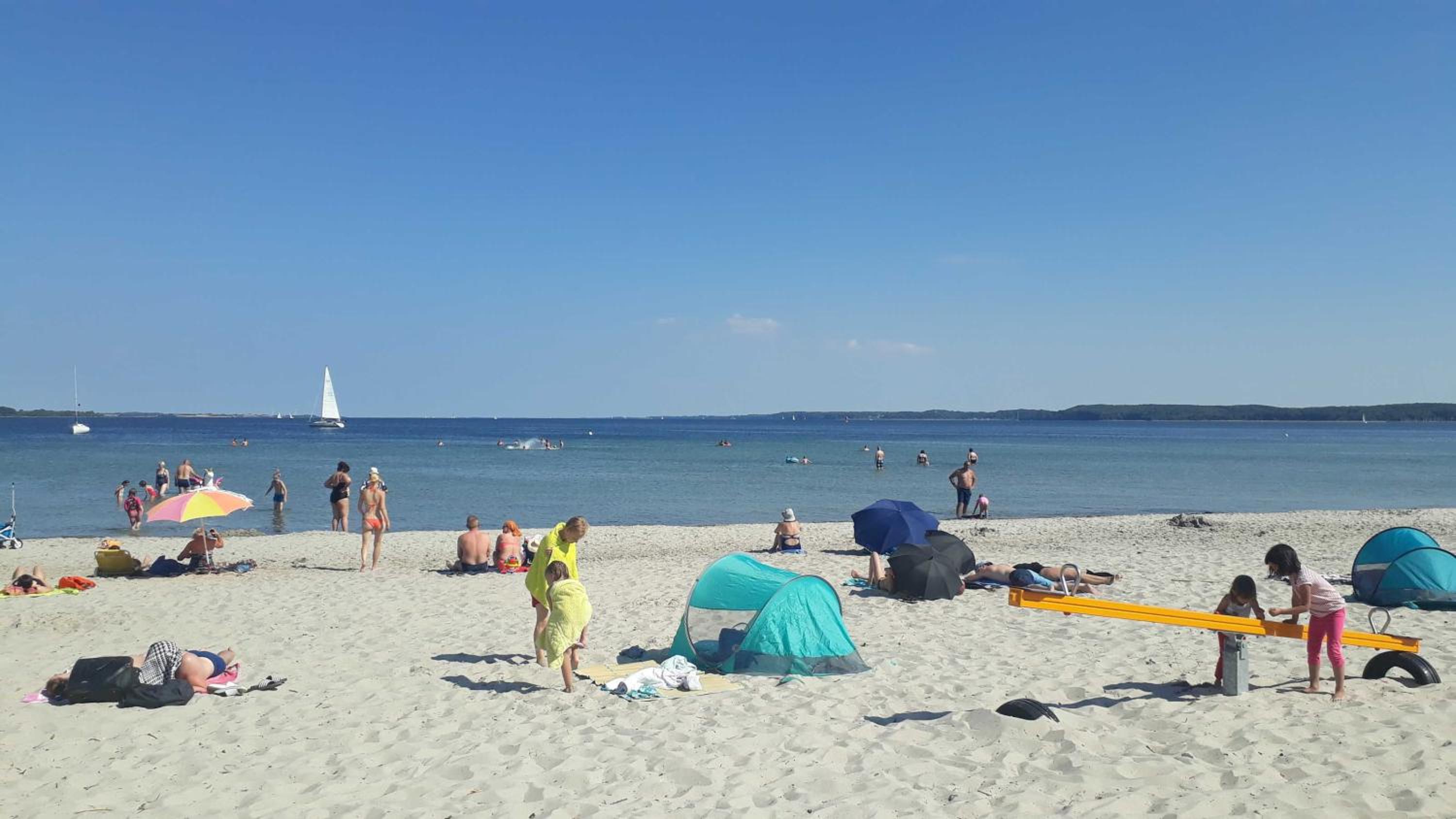 Ferienwohnung Wetterfrosch view 3