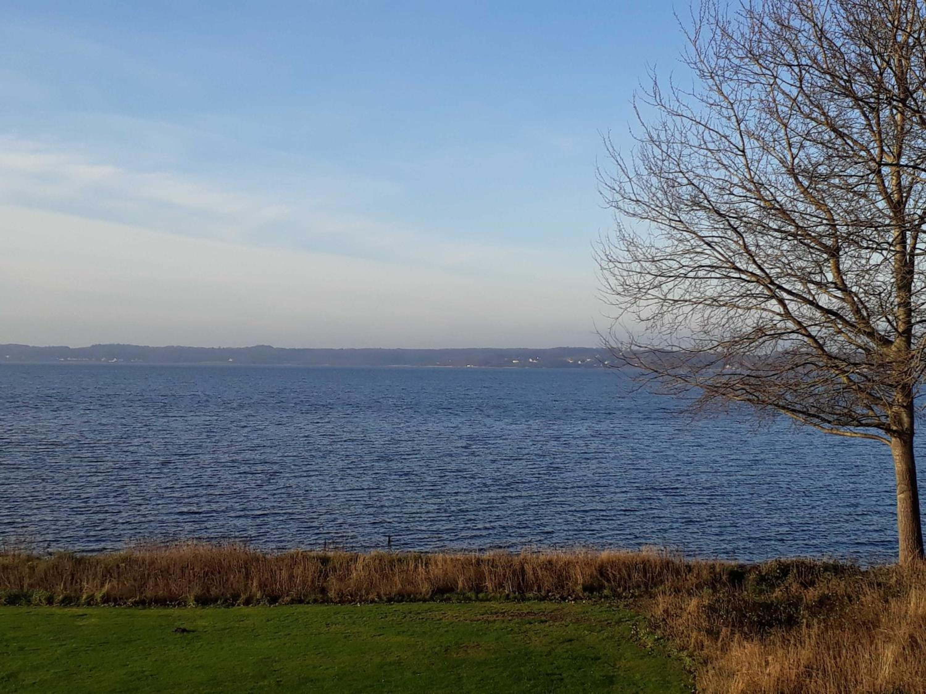 Ferienwohnung Wetterfrosch view 4