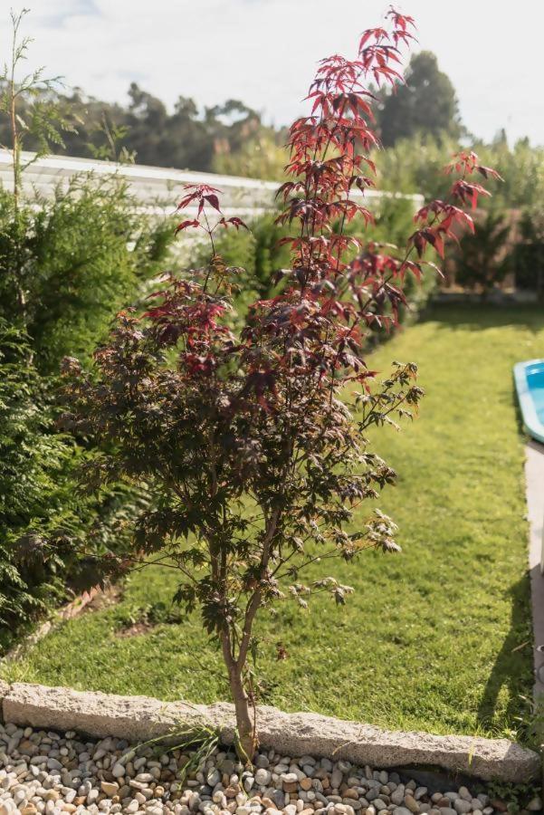 Casa Calima view 4