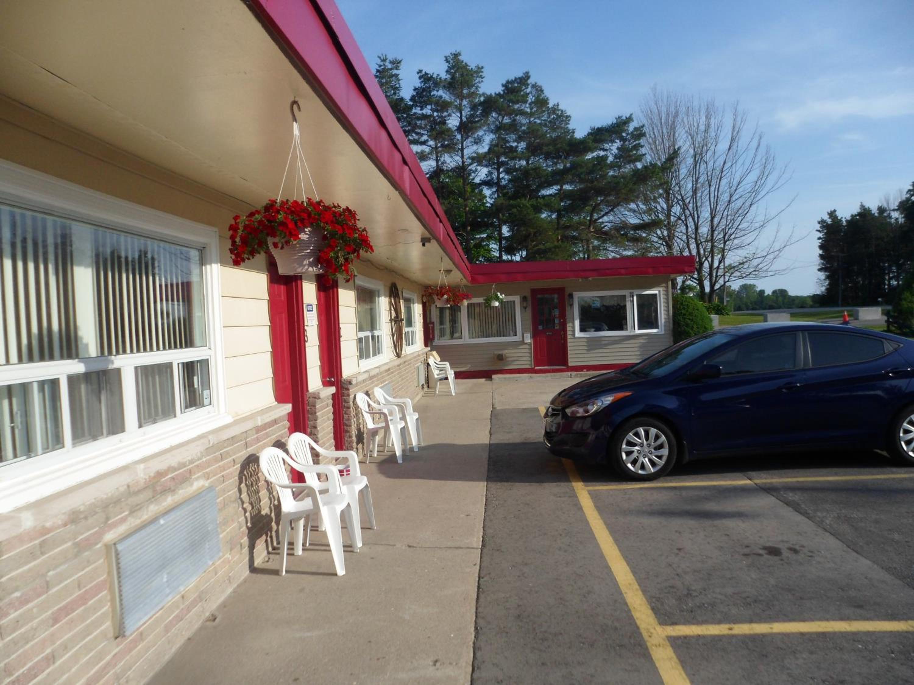 The Silver Birch Motel