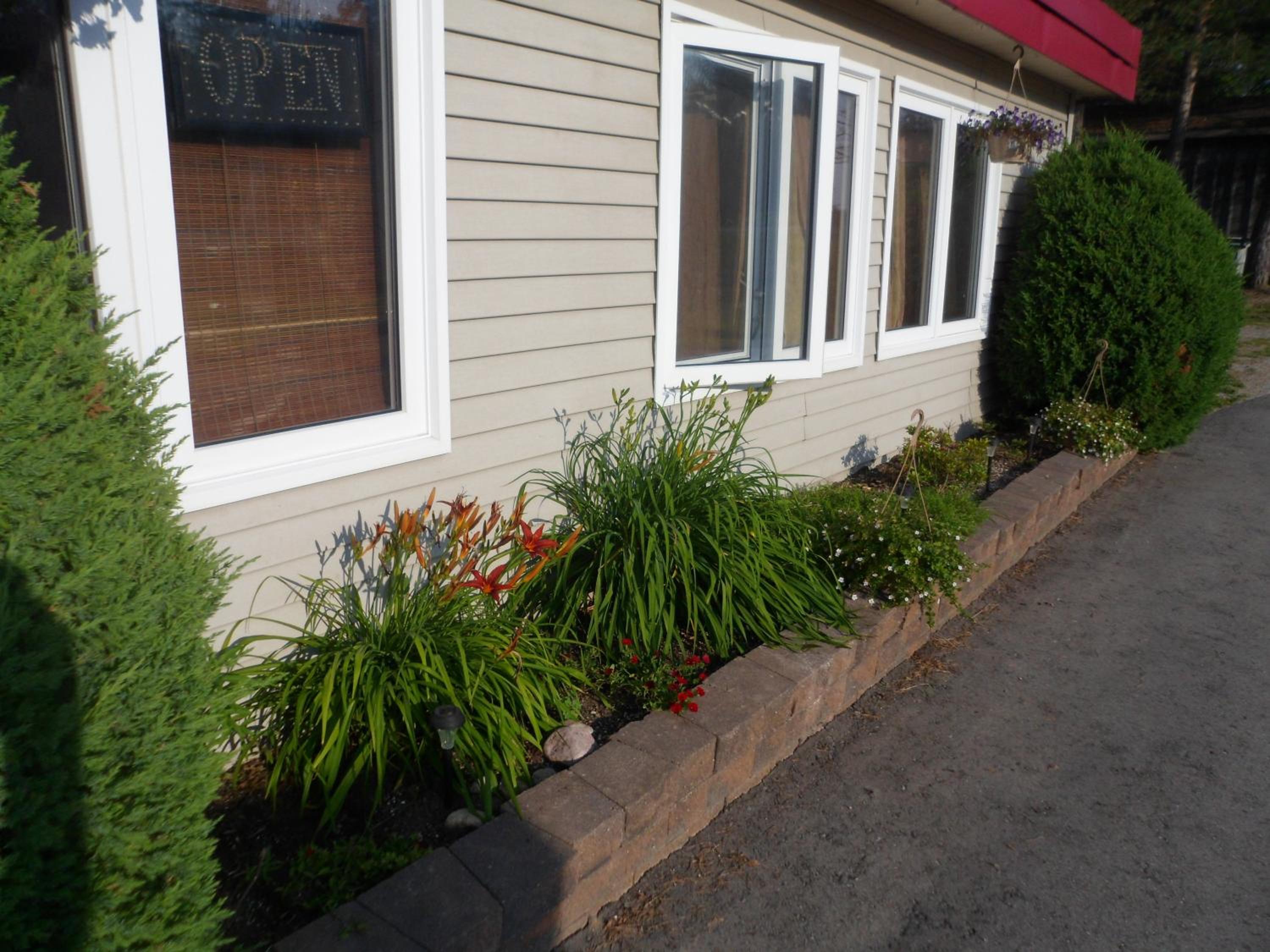 The Silver Birch Motel