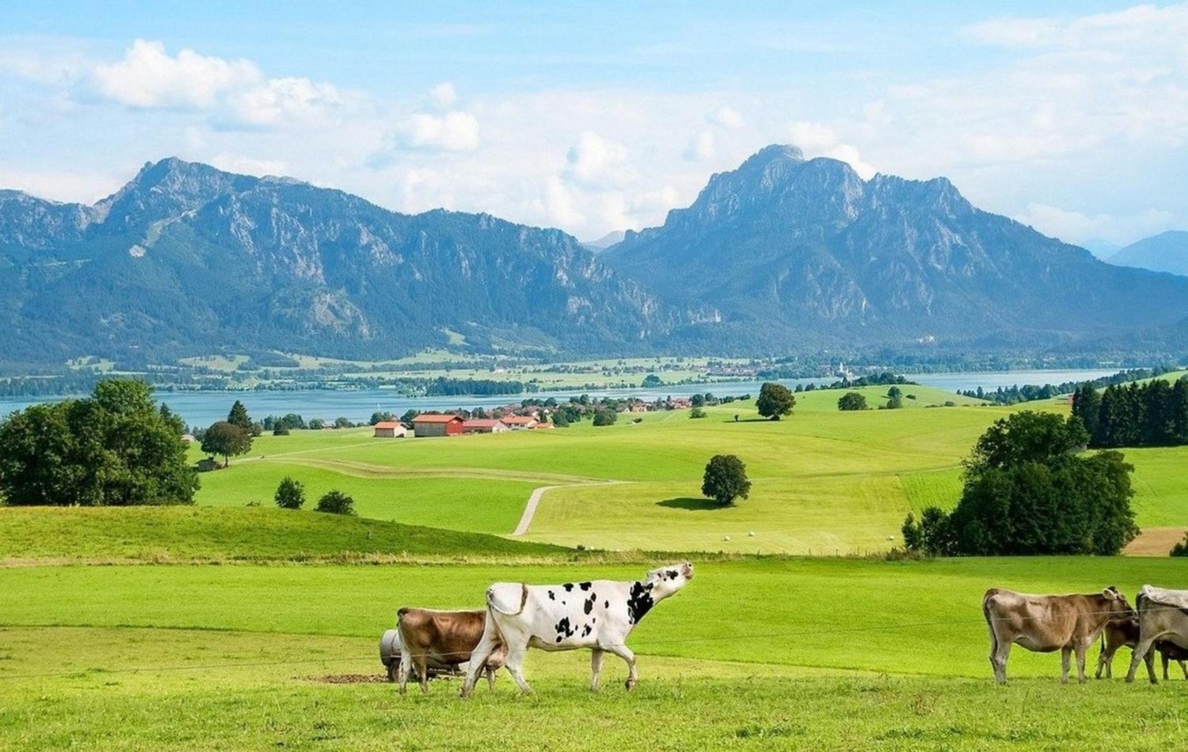 Ferienhaus Nr 18, Kategorie Komfort, Feriendorf Hochbergle, Allgäu