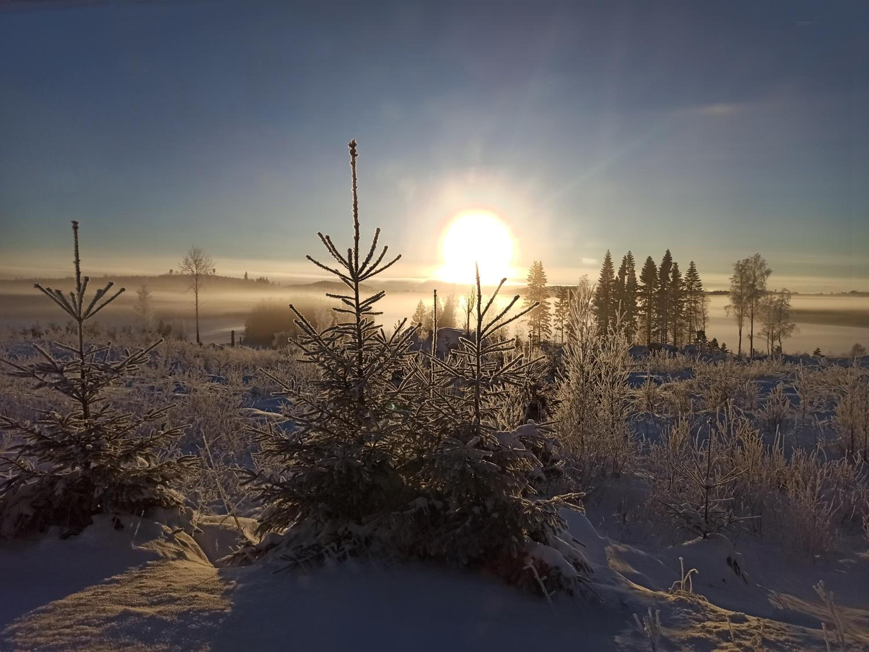 SunnemosLantLiv