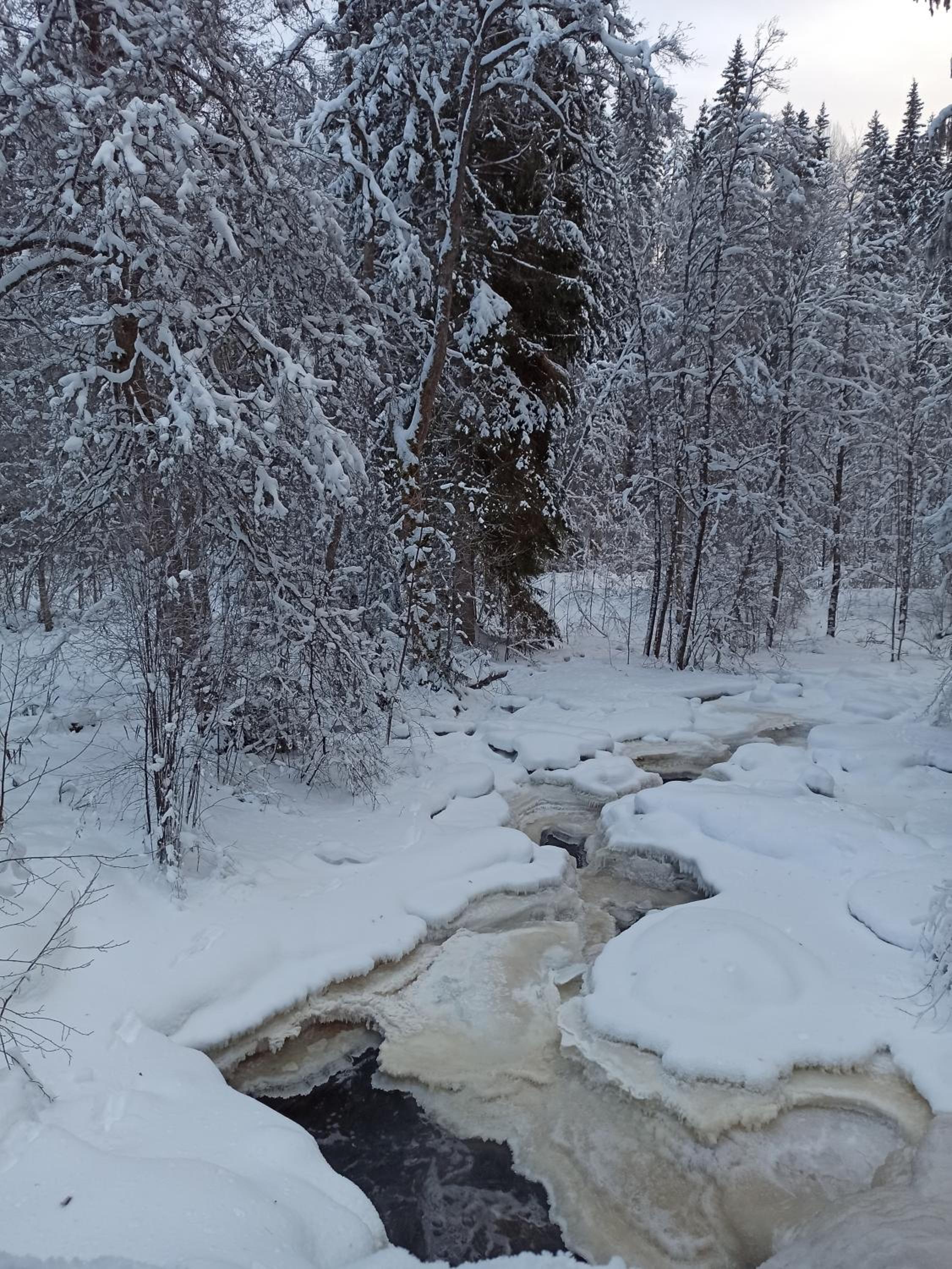 SunnemosLantLiv