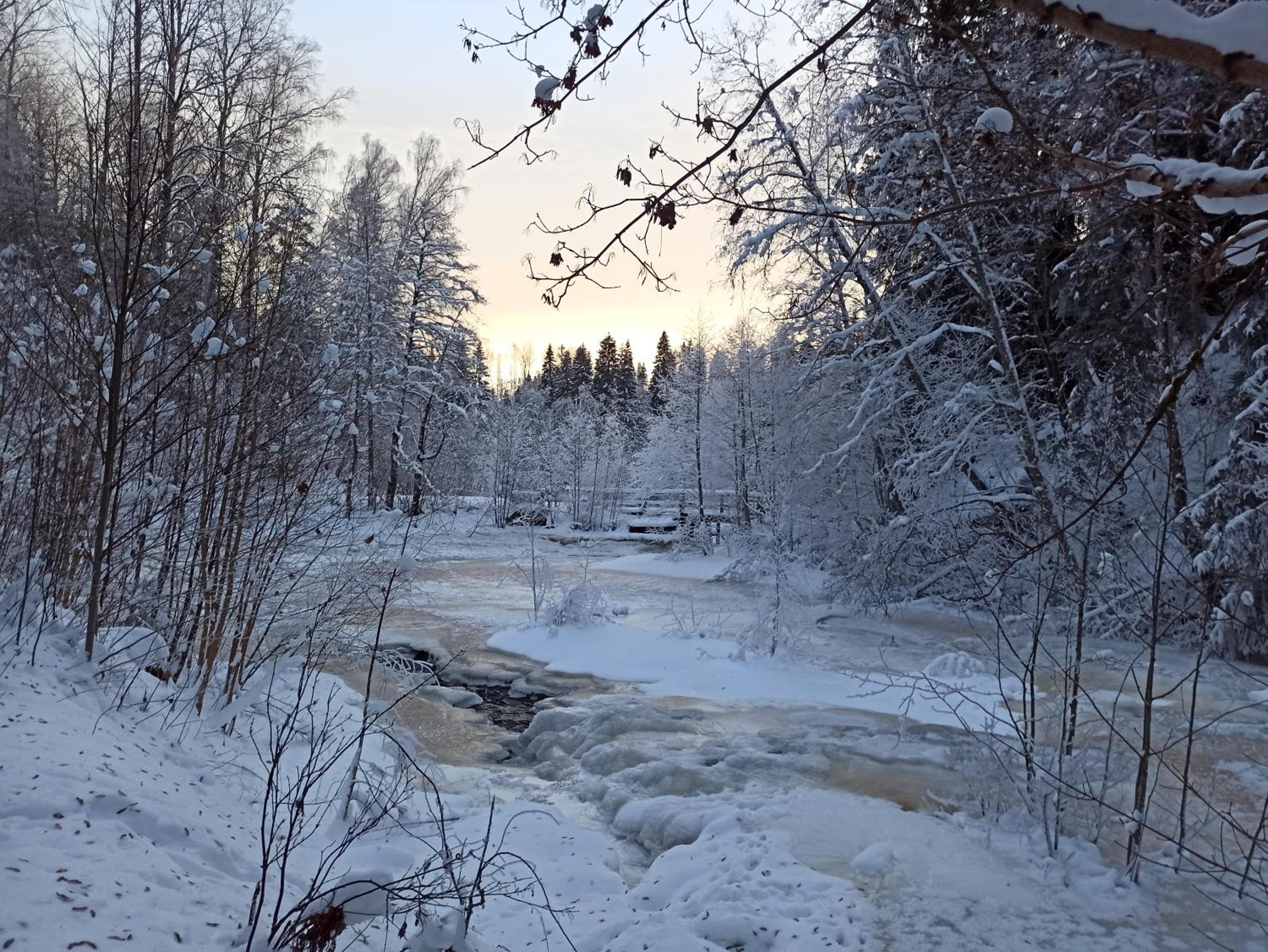 SunnemosLantLiv