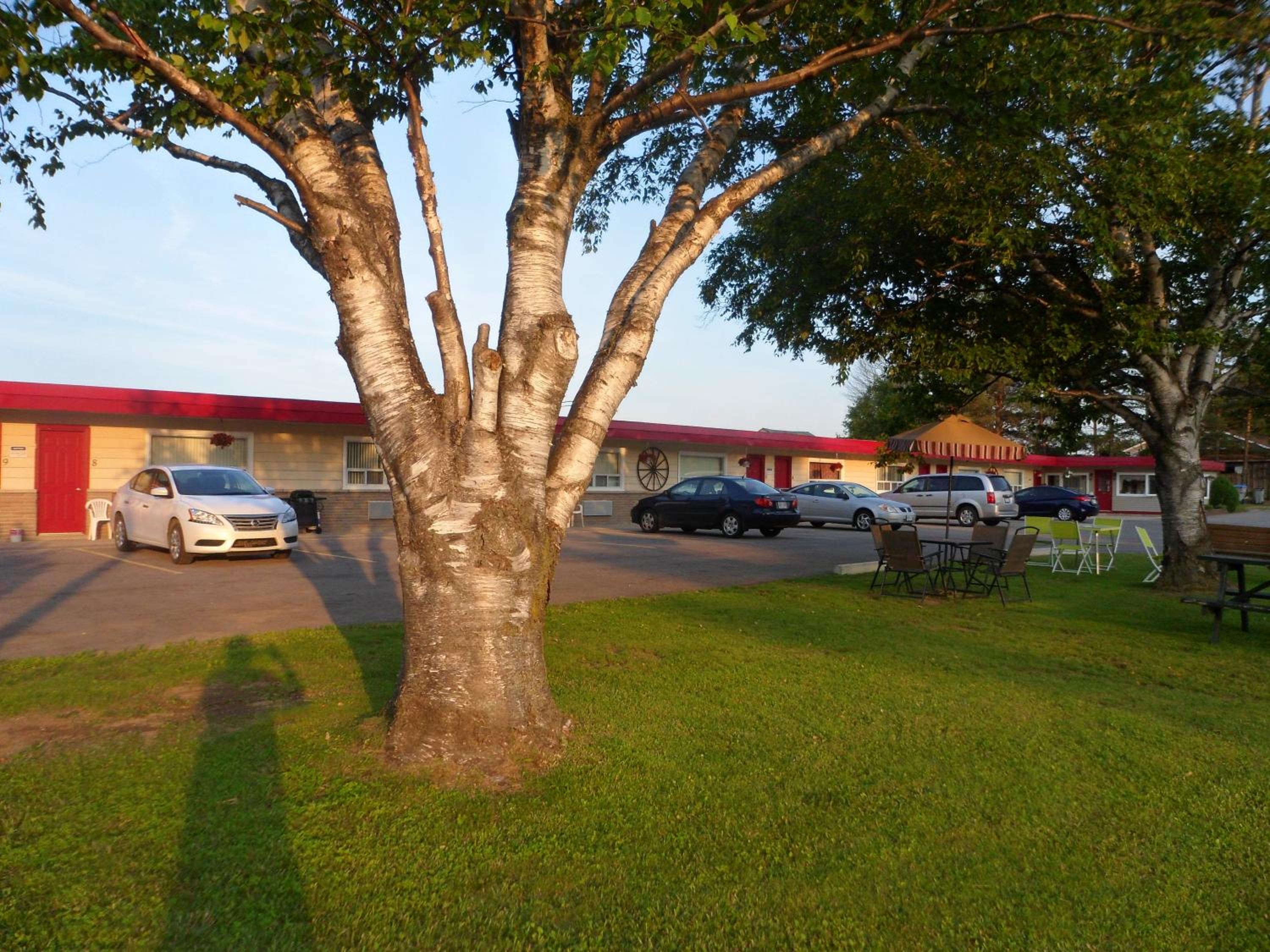 The Silver Birch Motel
