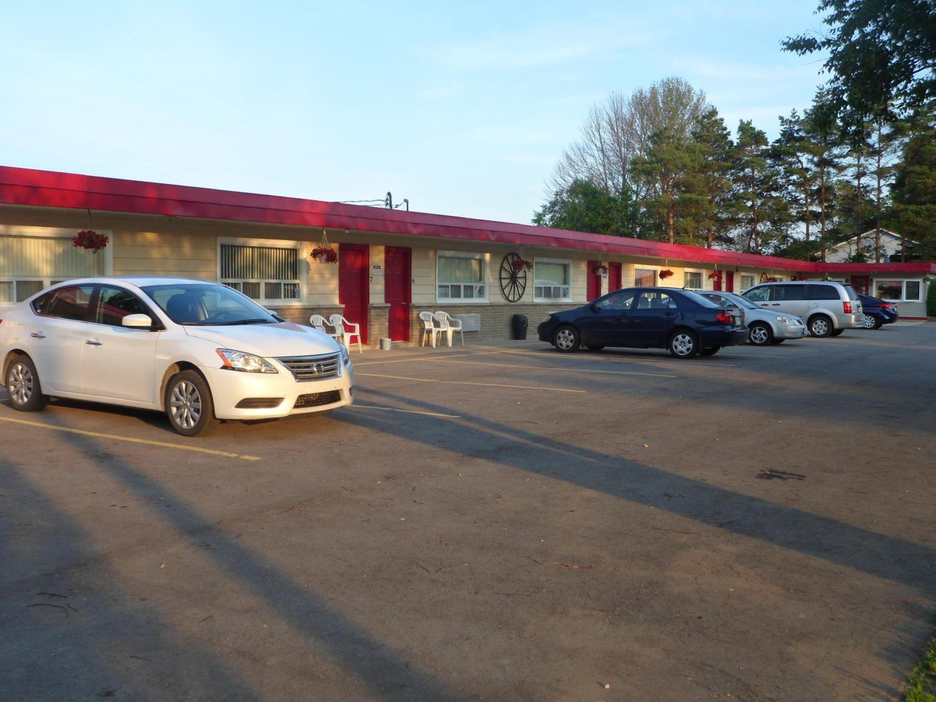 The Silver Birch Motel