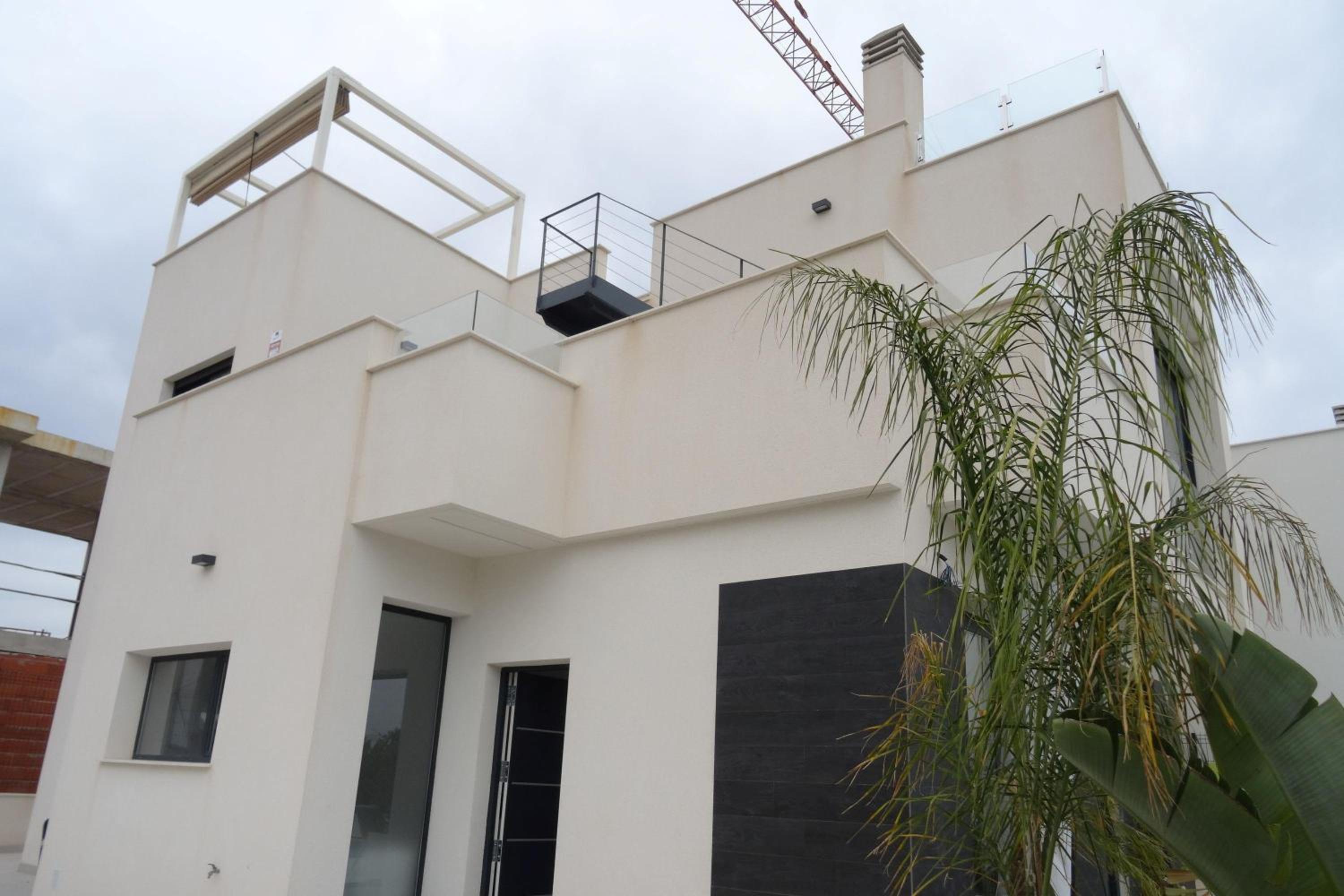 Casa Palmera