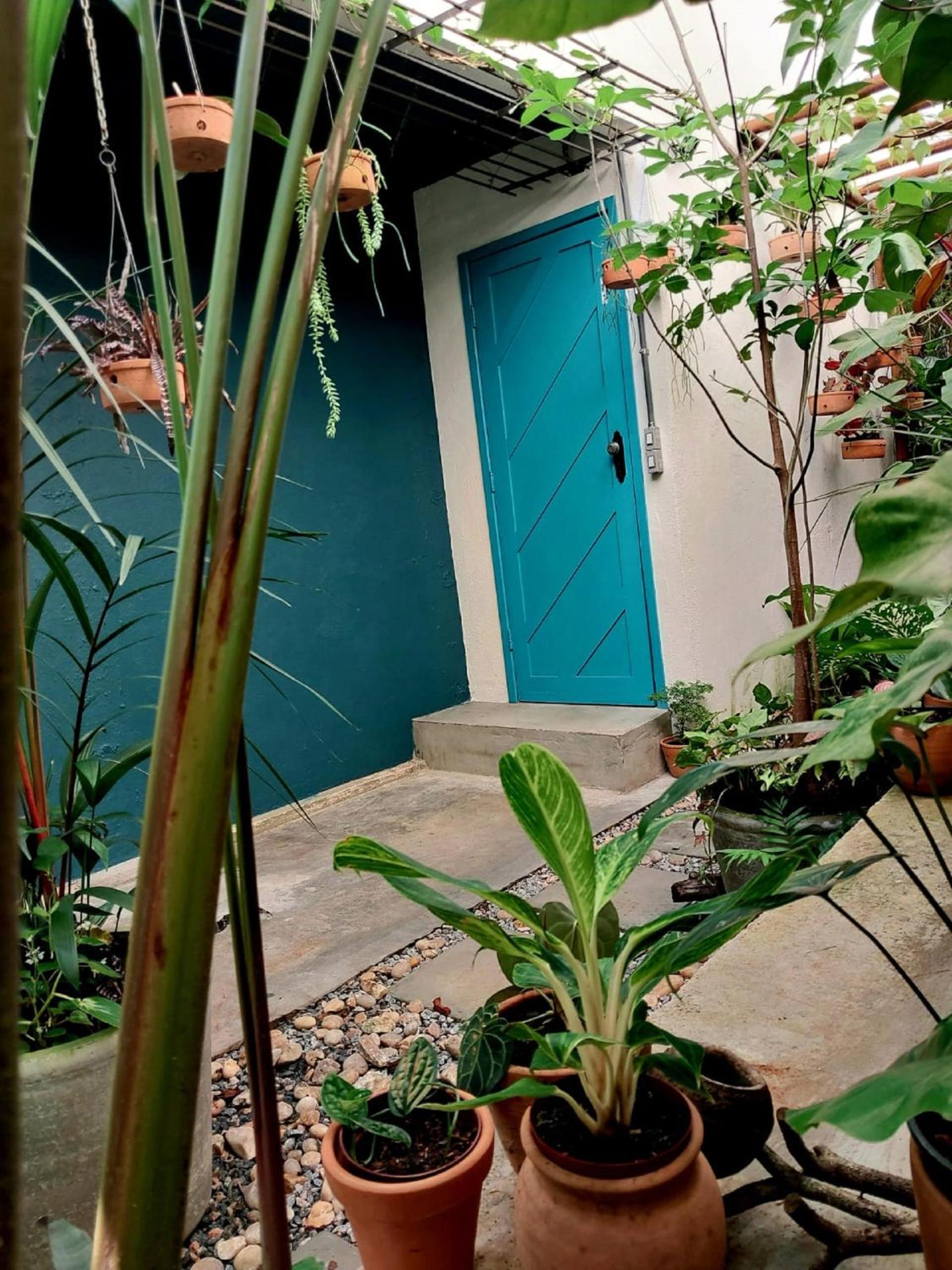 Residencial Casa Flor Atelier Botânico, Ponta Negra