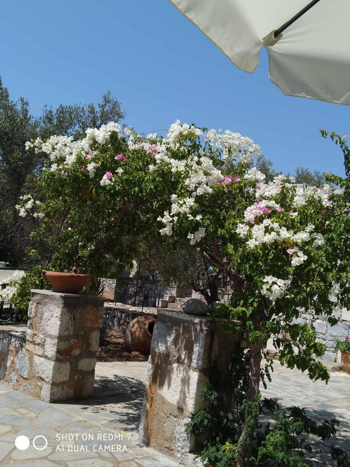 Charouda stone tower xenonas view 2