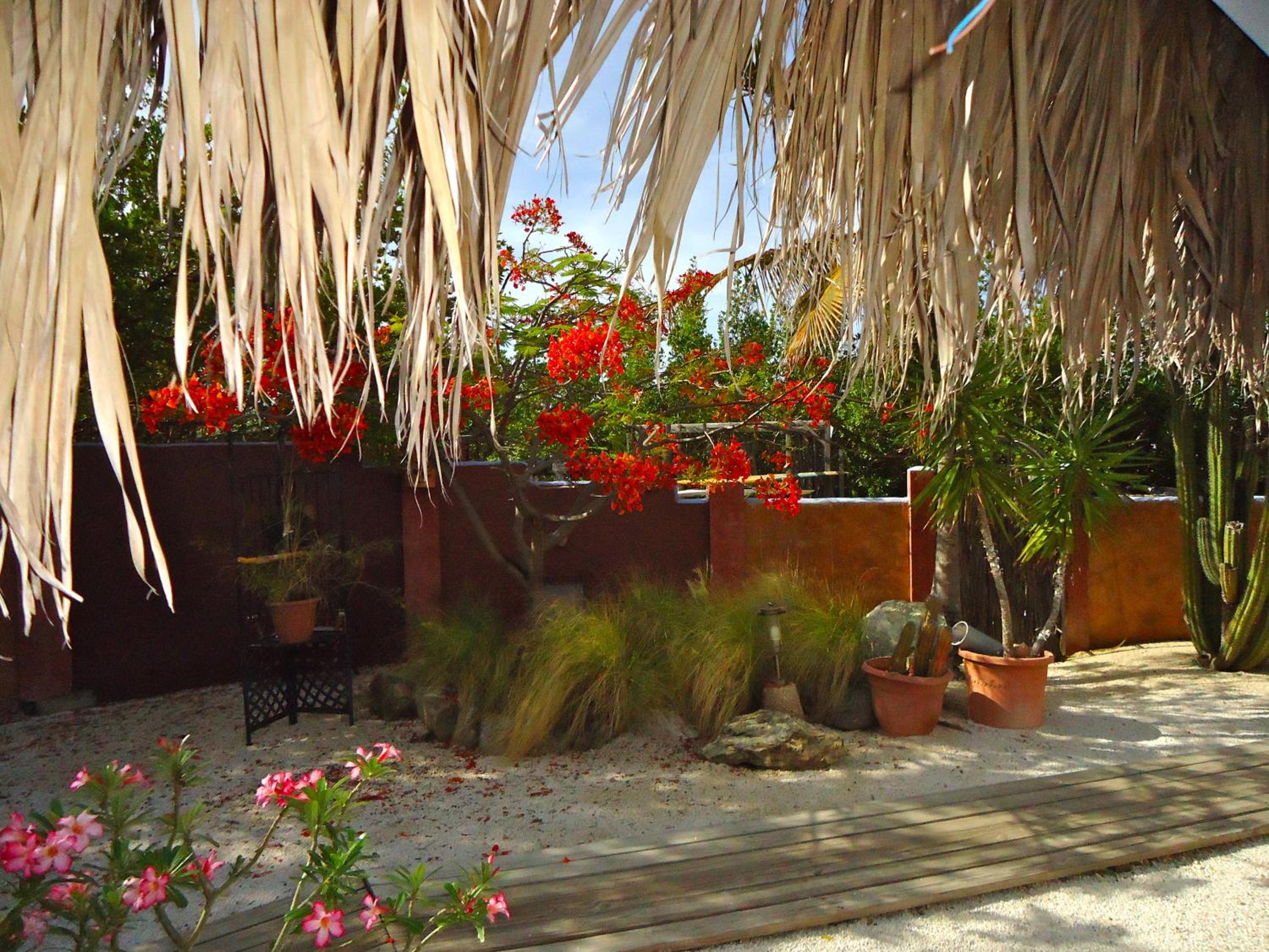 Beach House Aruba Apartments