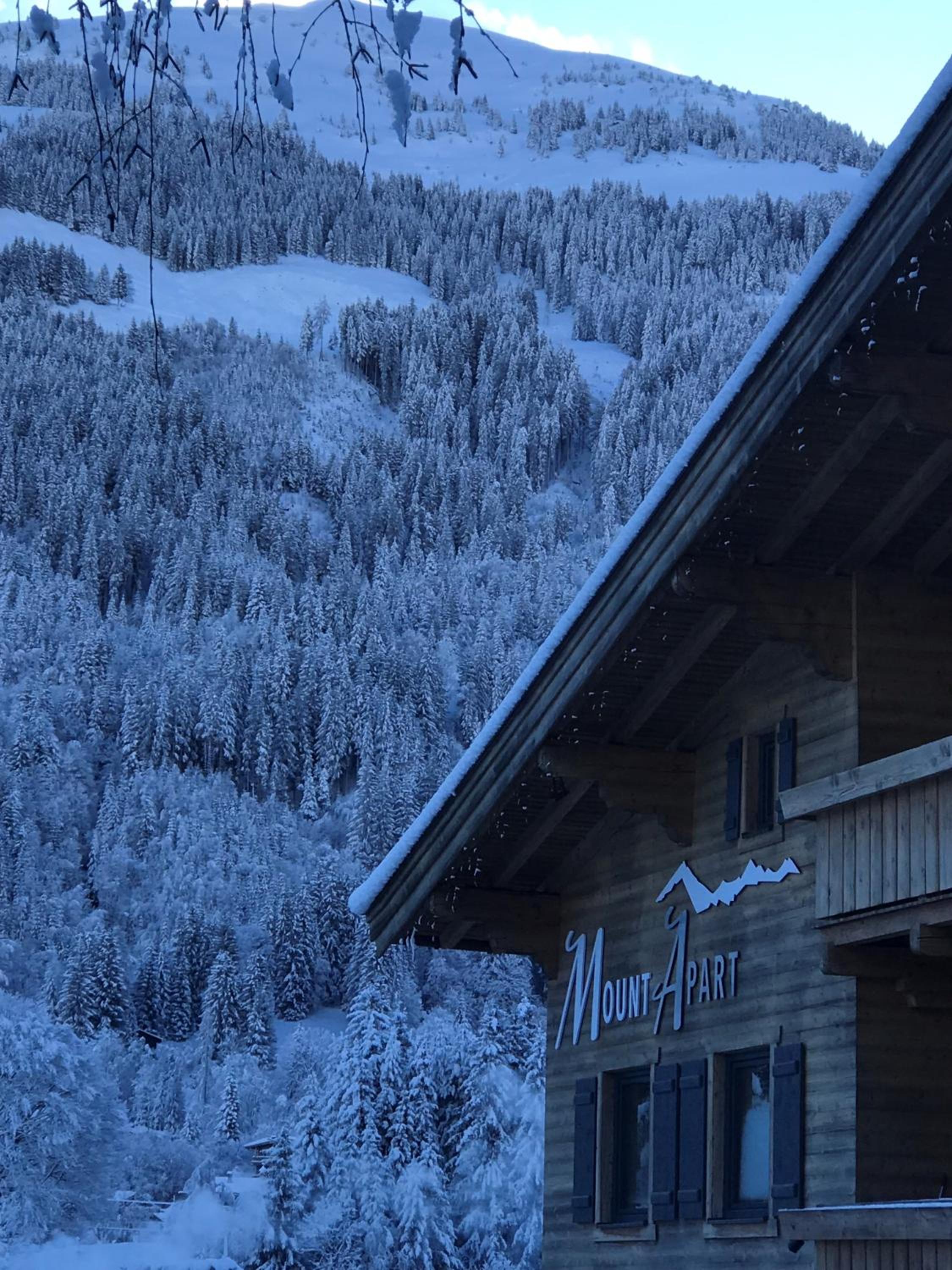 MountApart Ski in - Ski out
