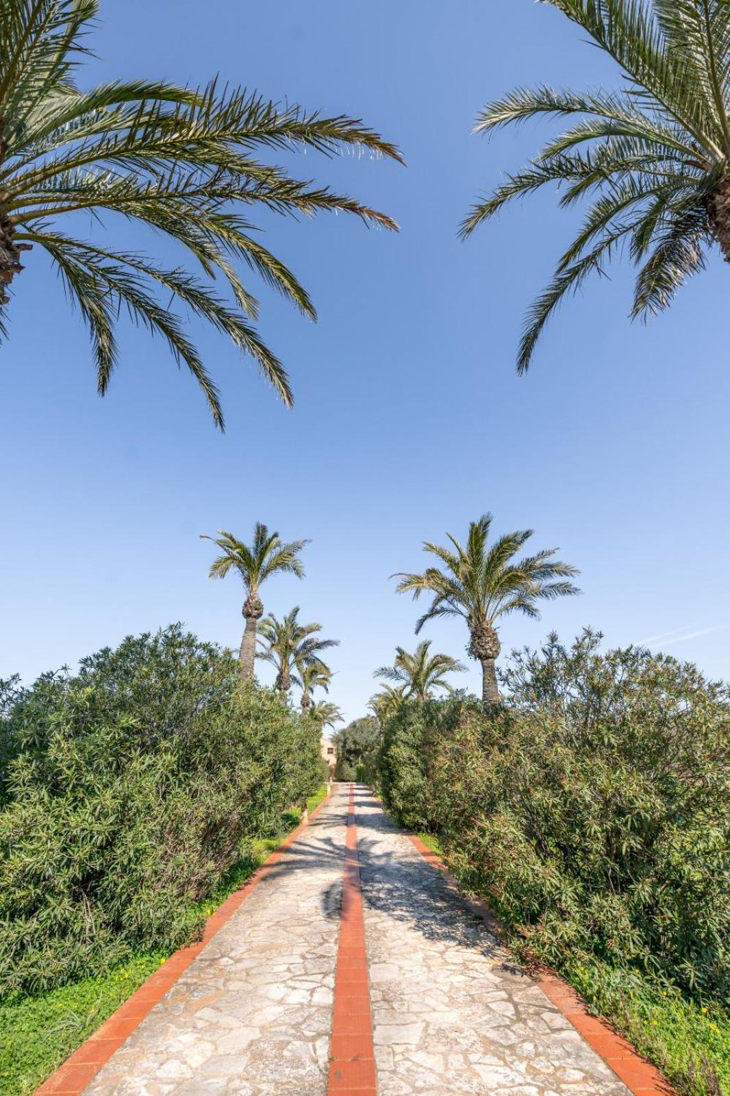 Finca Son Mut