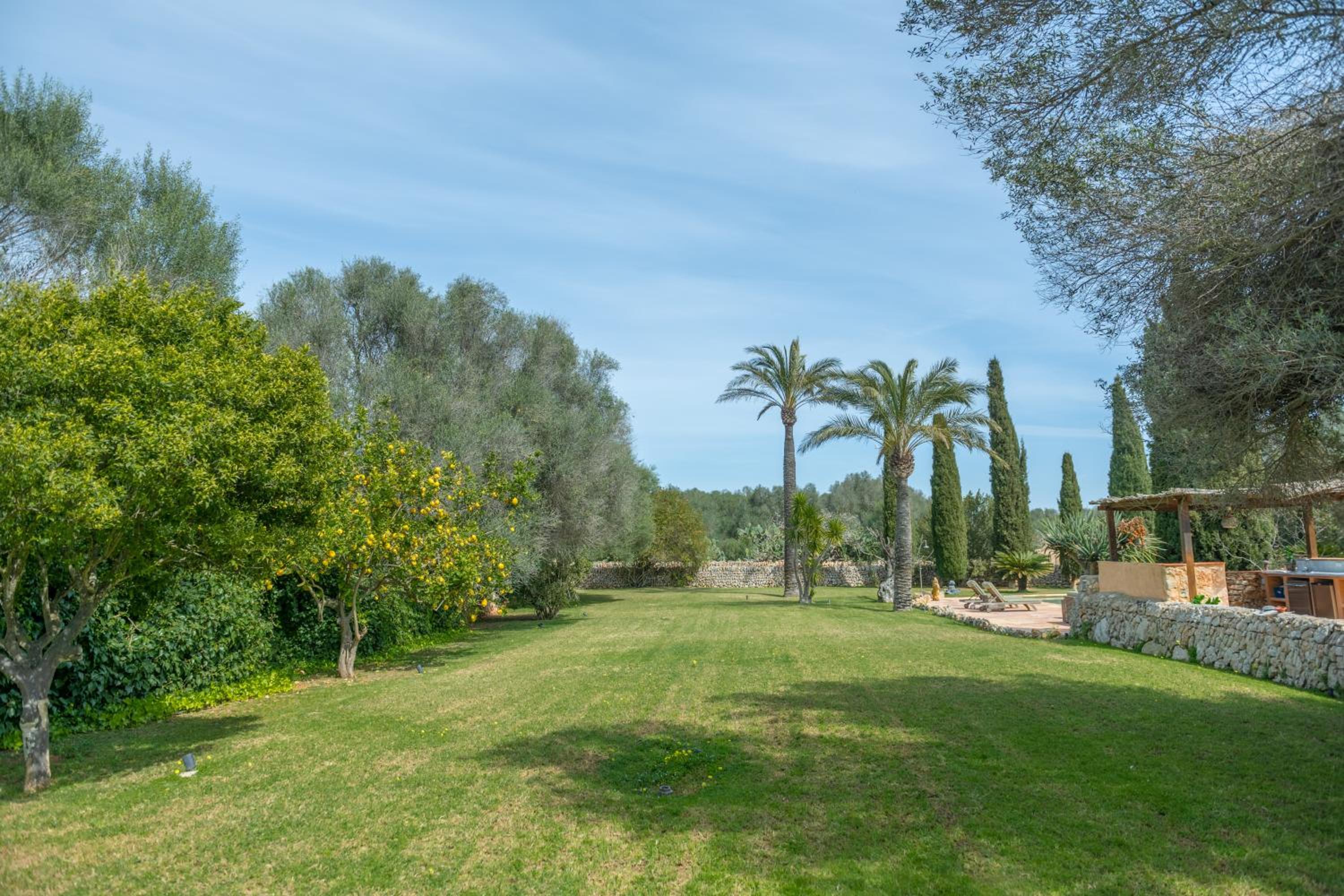 Finca Son Mut