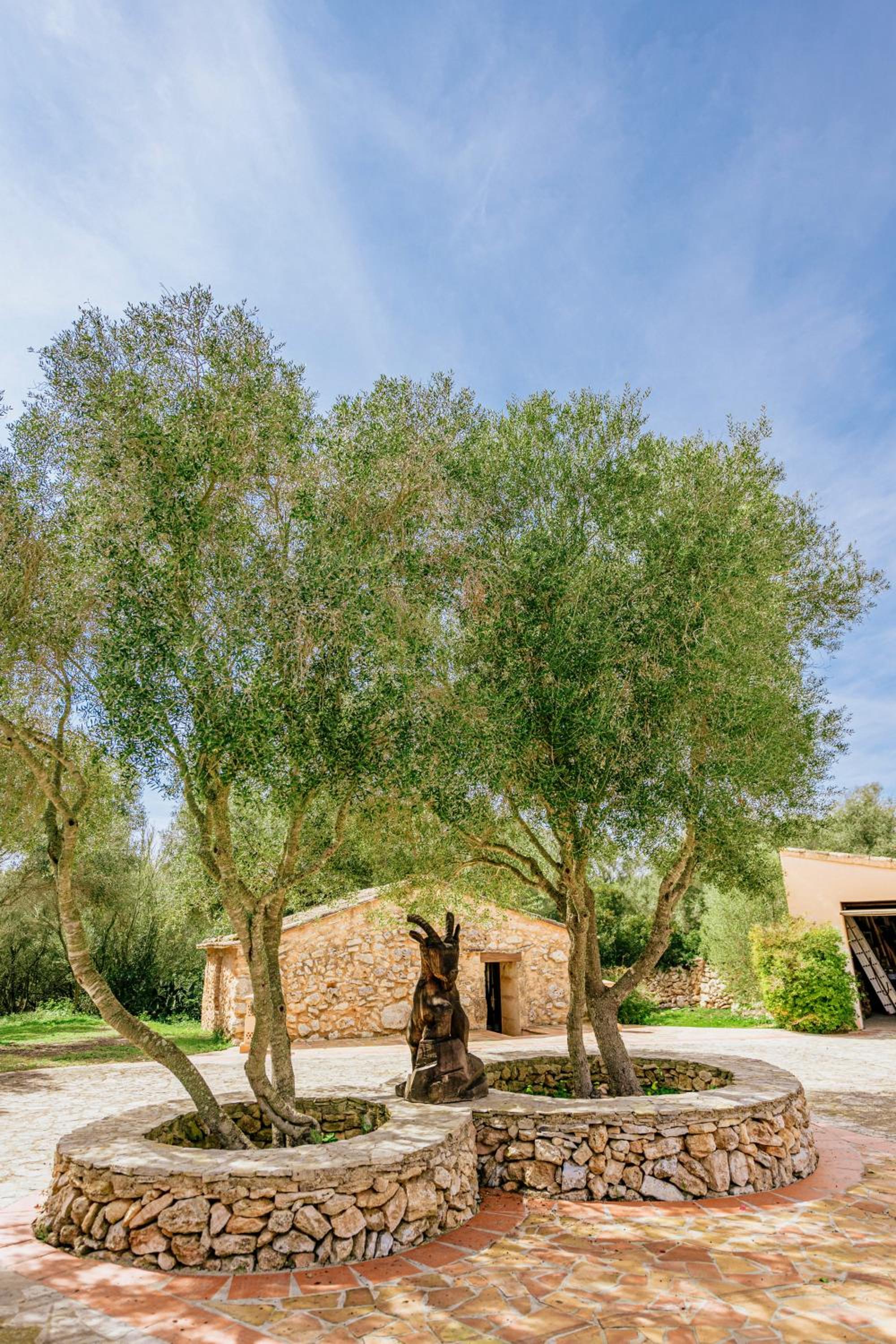 Finca Son Mut