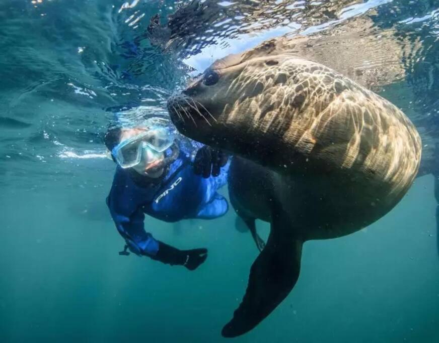 Ahinoa, a orillas del Golfo Nuevo